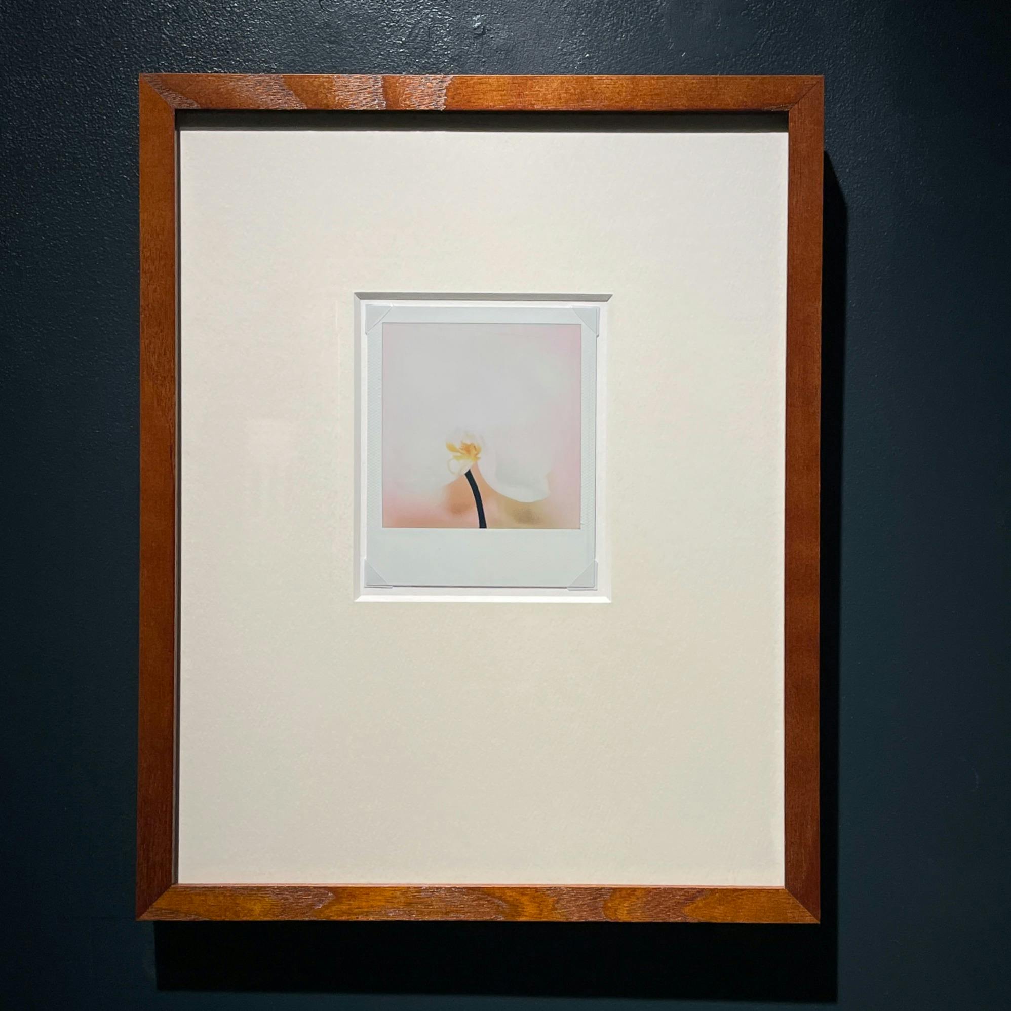 Jean-Marie Reynier PORALOID #04