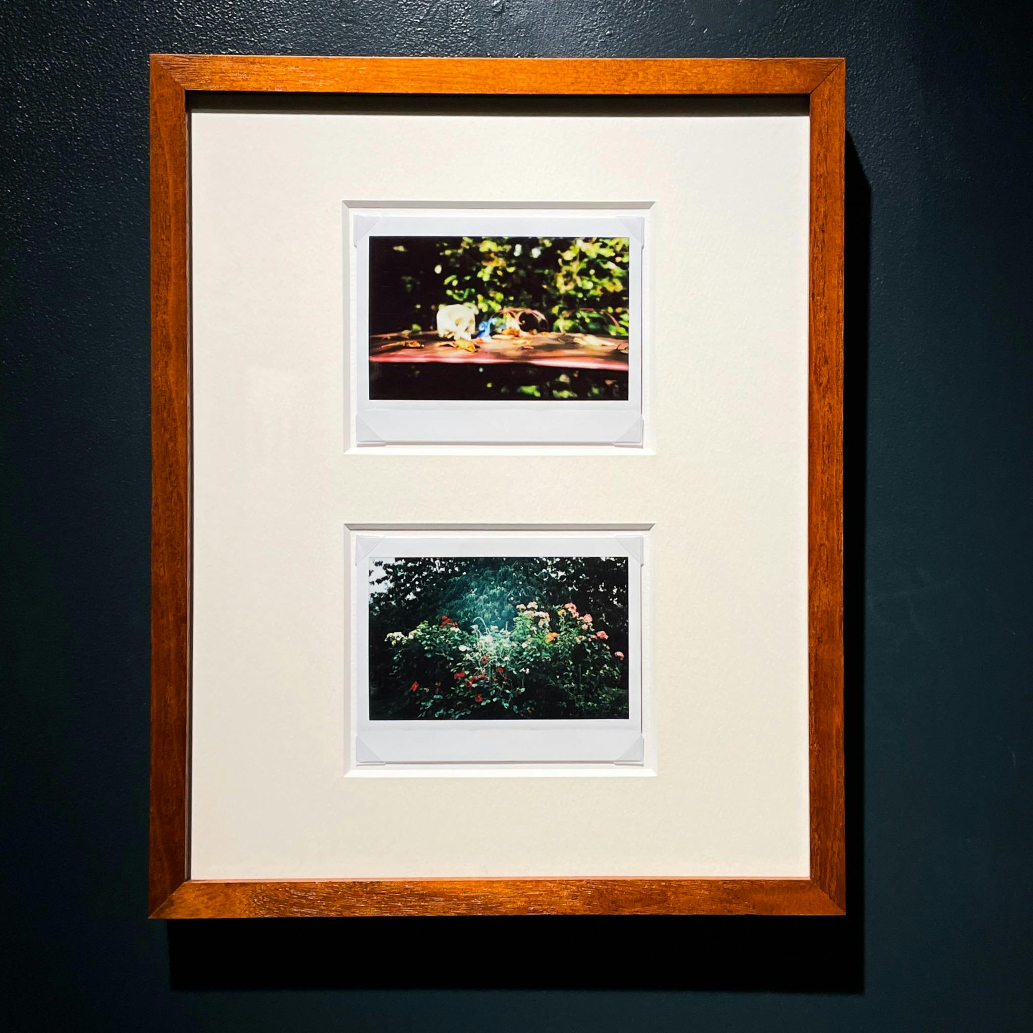 Jean-Marie Reynier PORALOIDS #07