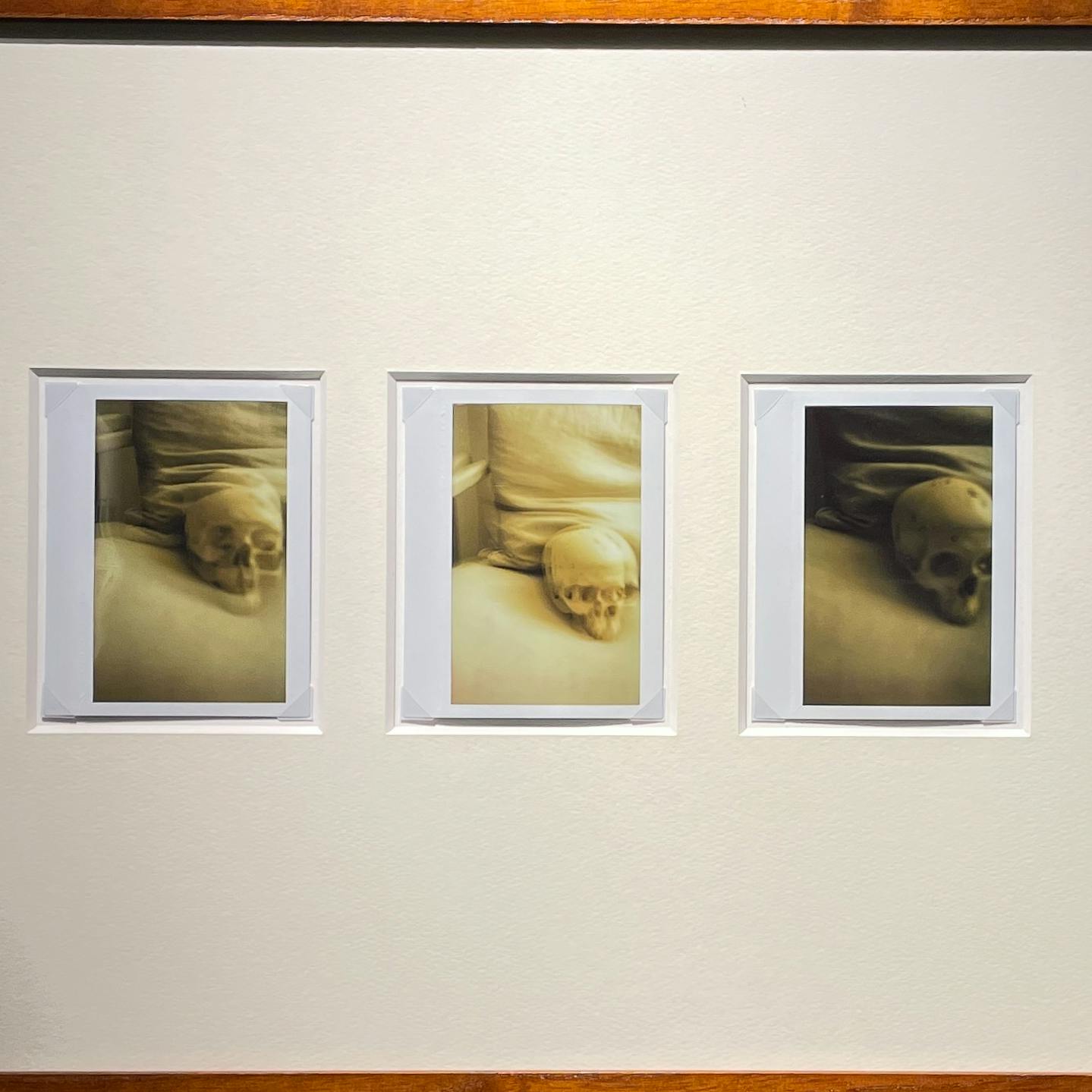 Jean-Marie Reynier PORALOIDS #07