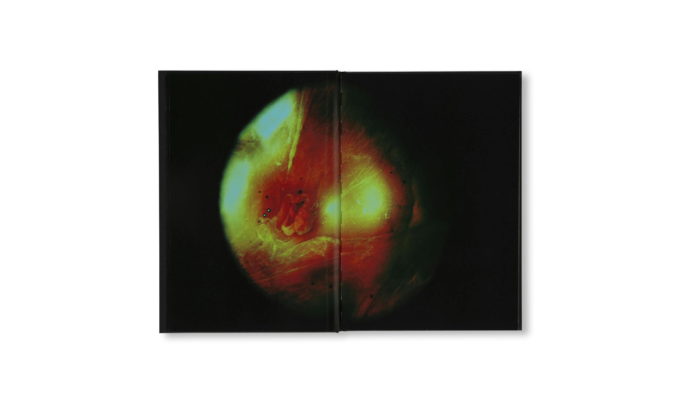 MY BLOODY HAND | OIL - 現代アート・絵画の販売・通販