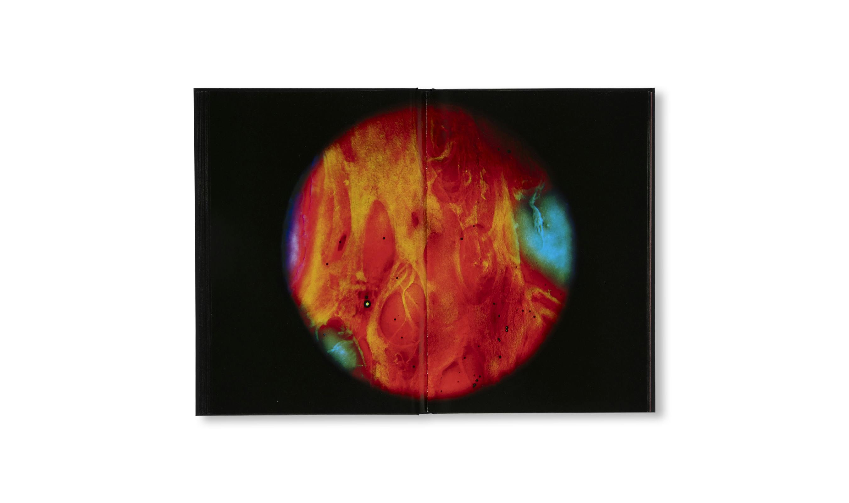 [予約受付中]  MY BLOODY HAND  [SIGNED]