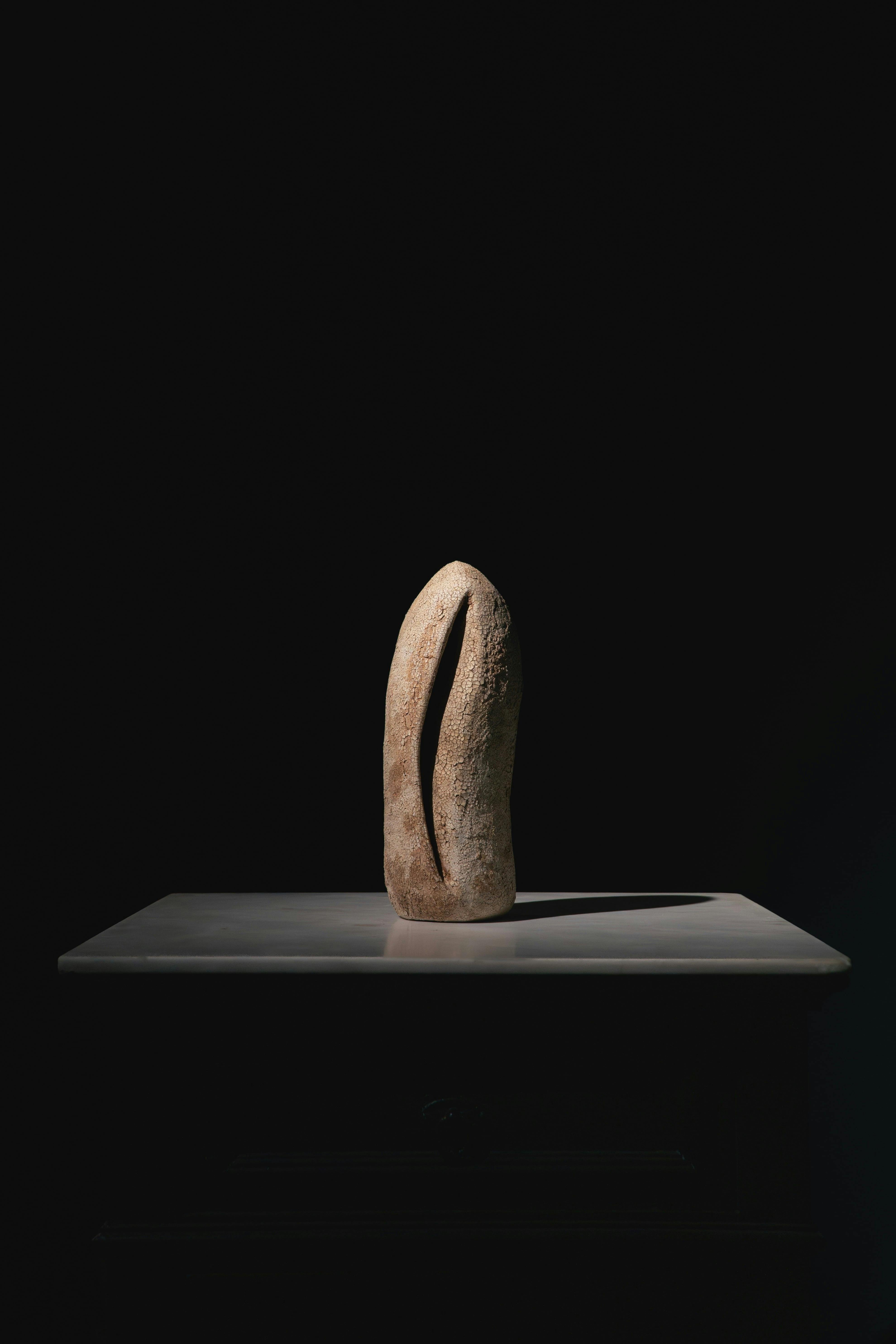 森田 智仁 Perception Series 012