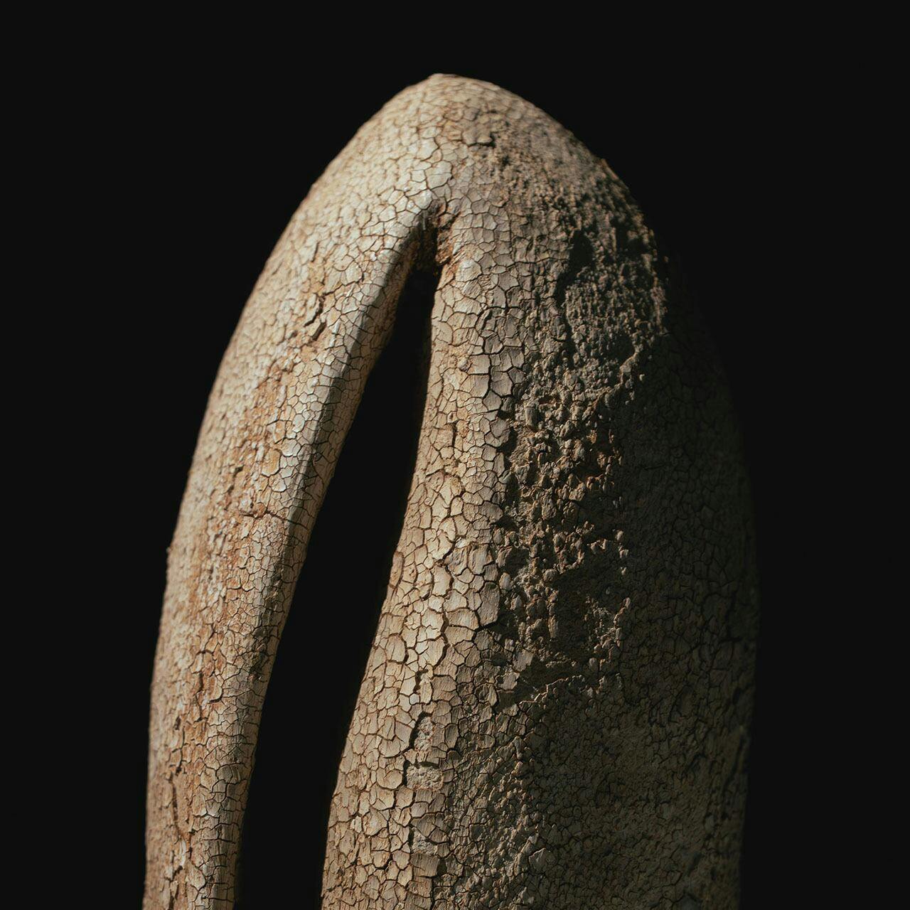 森田 智仁 Perception Series 012