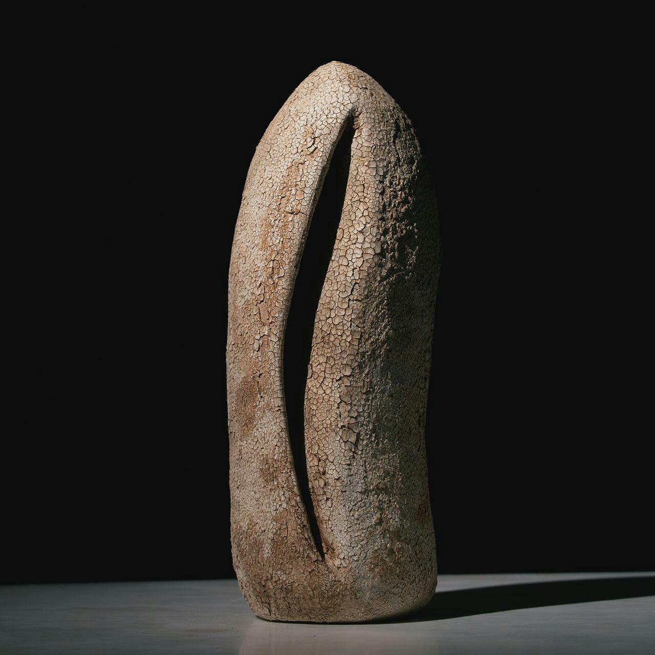 森田 智仁 Perception Series 012