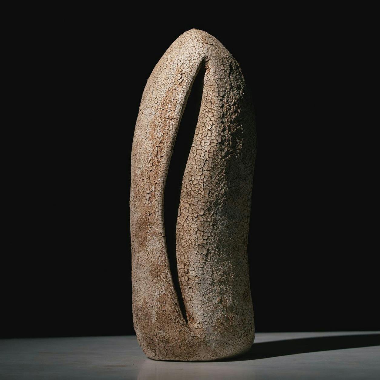 森田 智仁 Perception Series 012