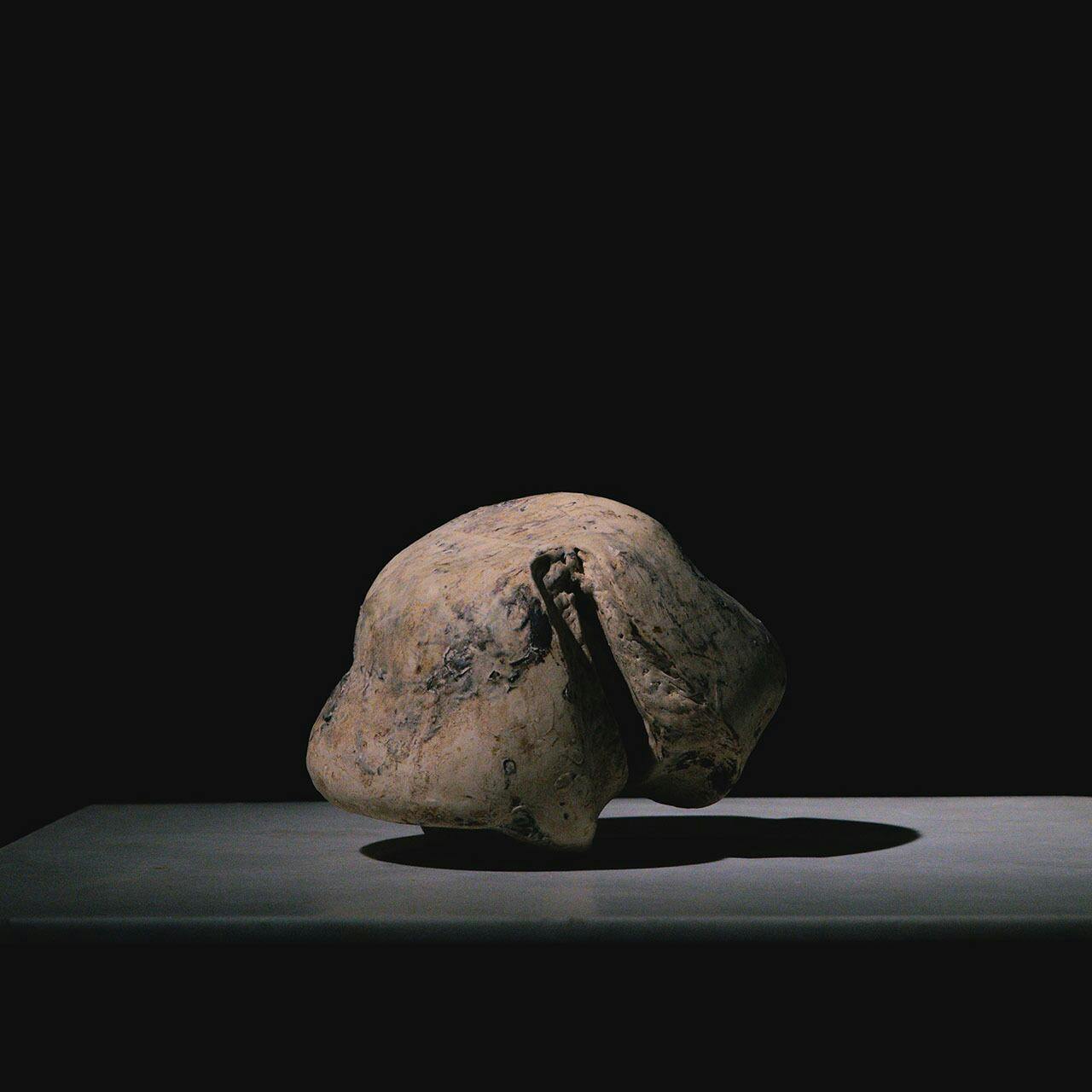 森田 智仁 Perception Series 008