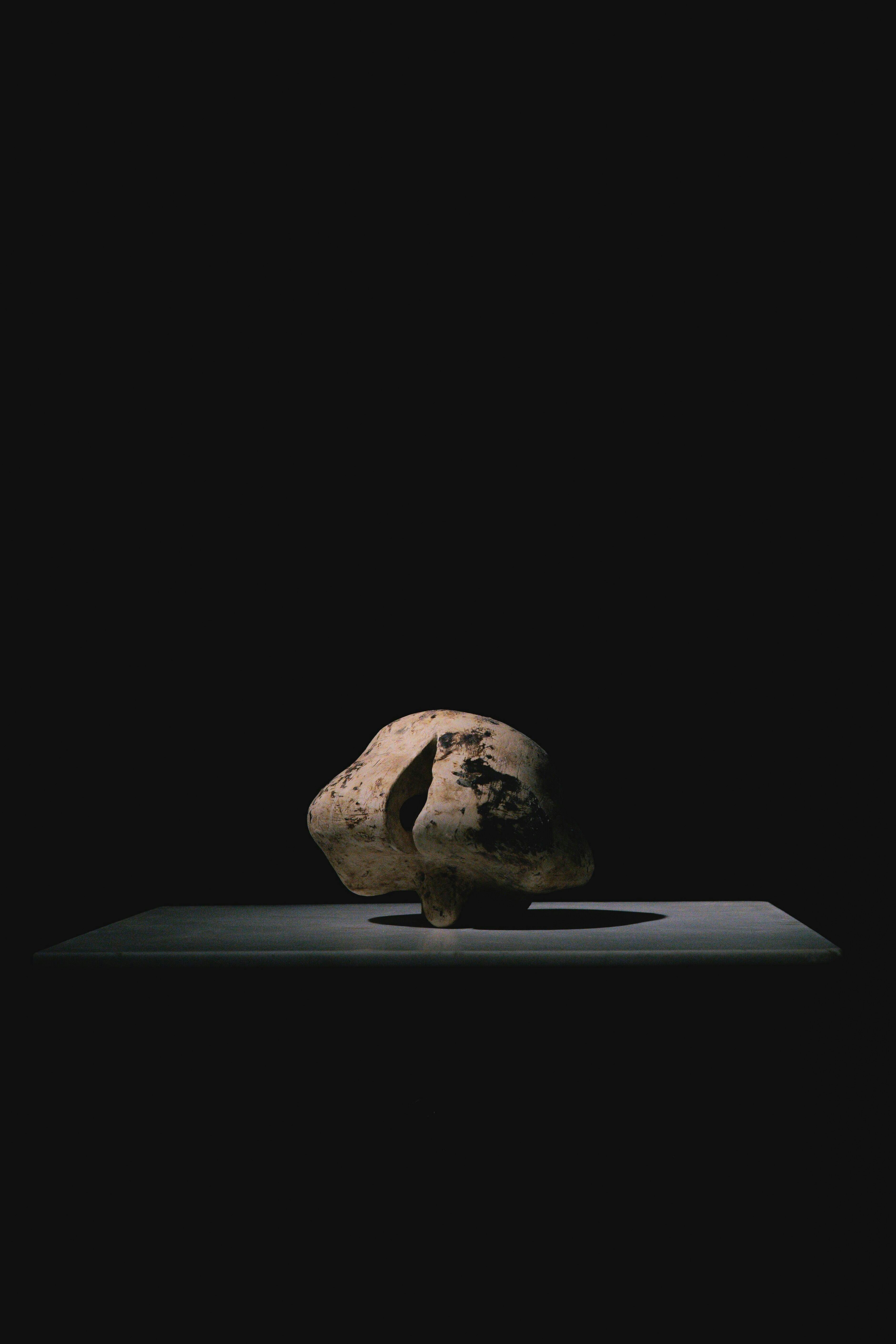 森田 智仁 Perception Series 008