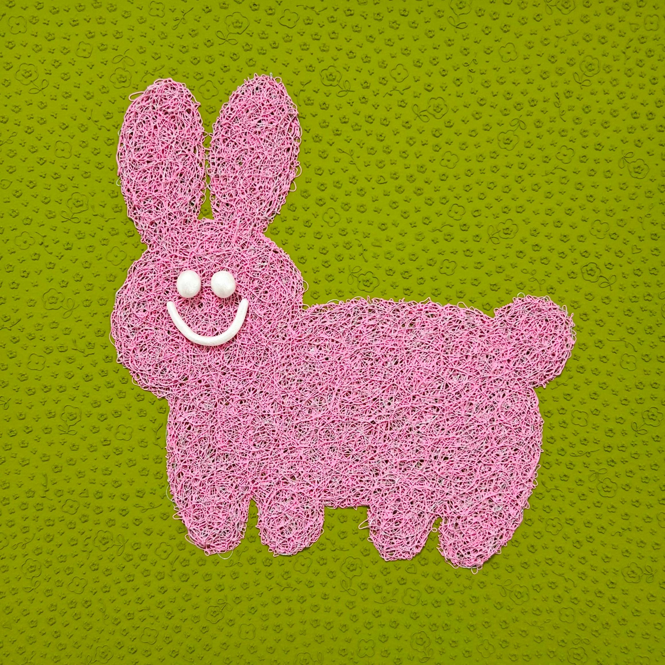 Mixed Emotions / Rabbits / Olive green and Pink color