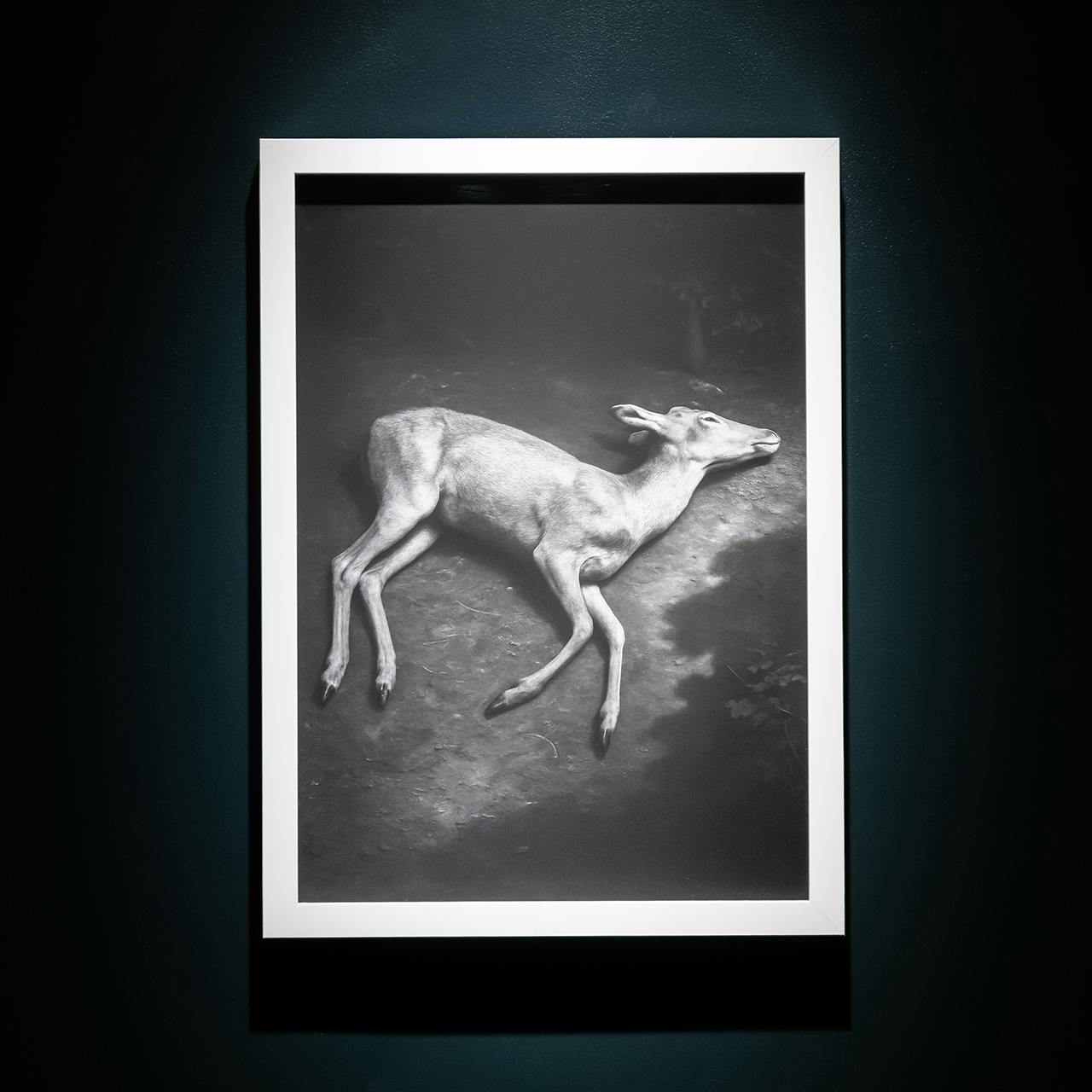 TUHEADS 痕跡は残るが主体は不在 1