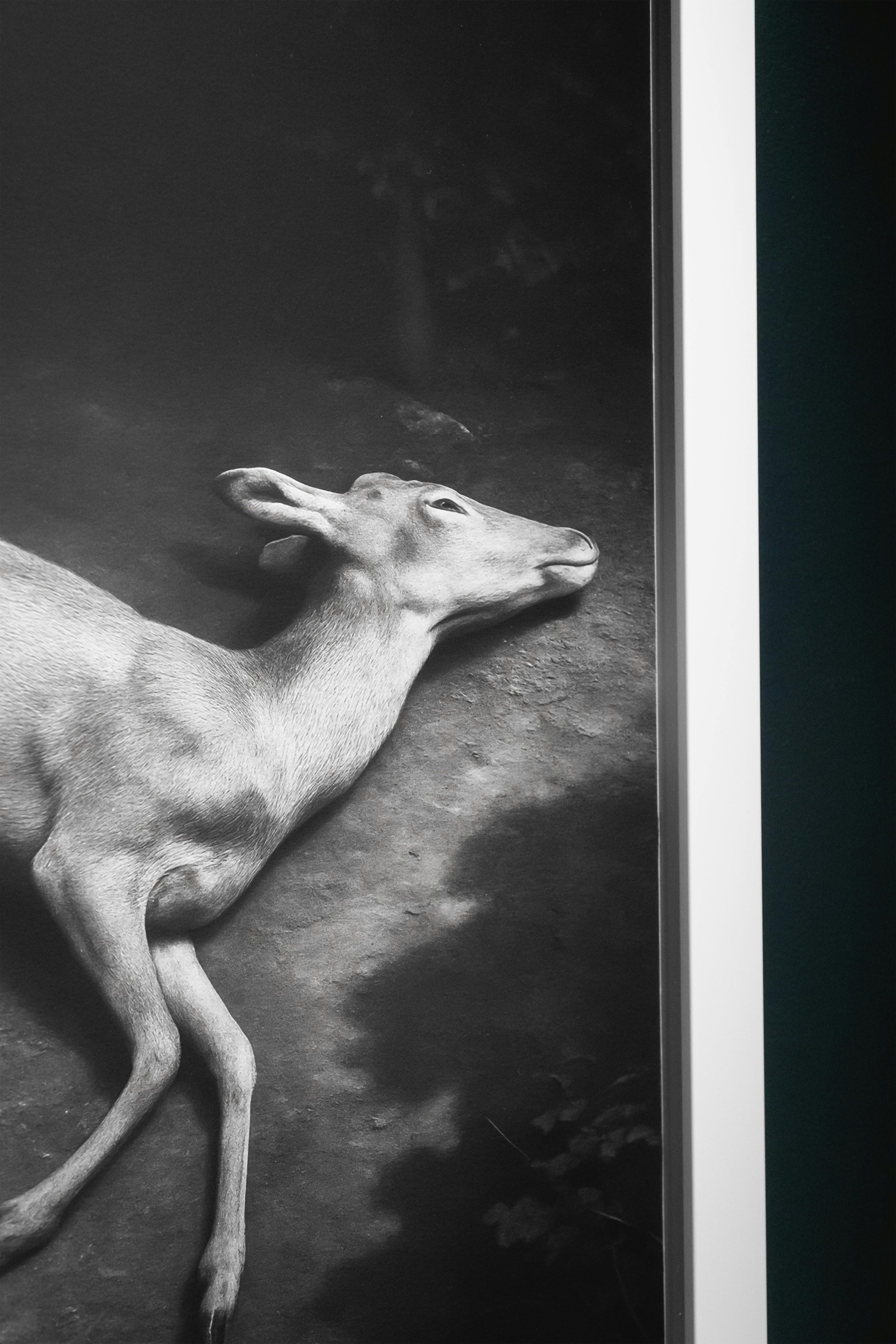 TUHEADS 痕跡は残るが主体は不在 1