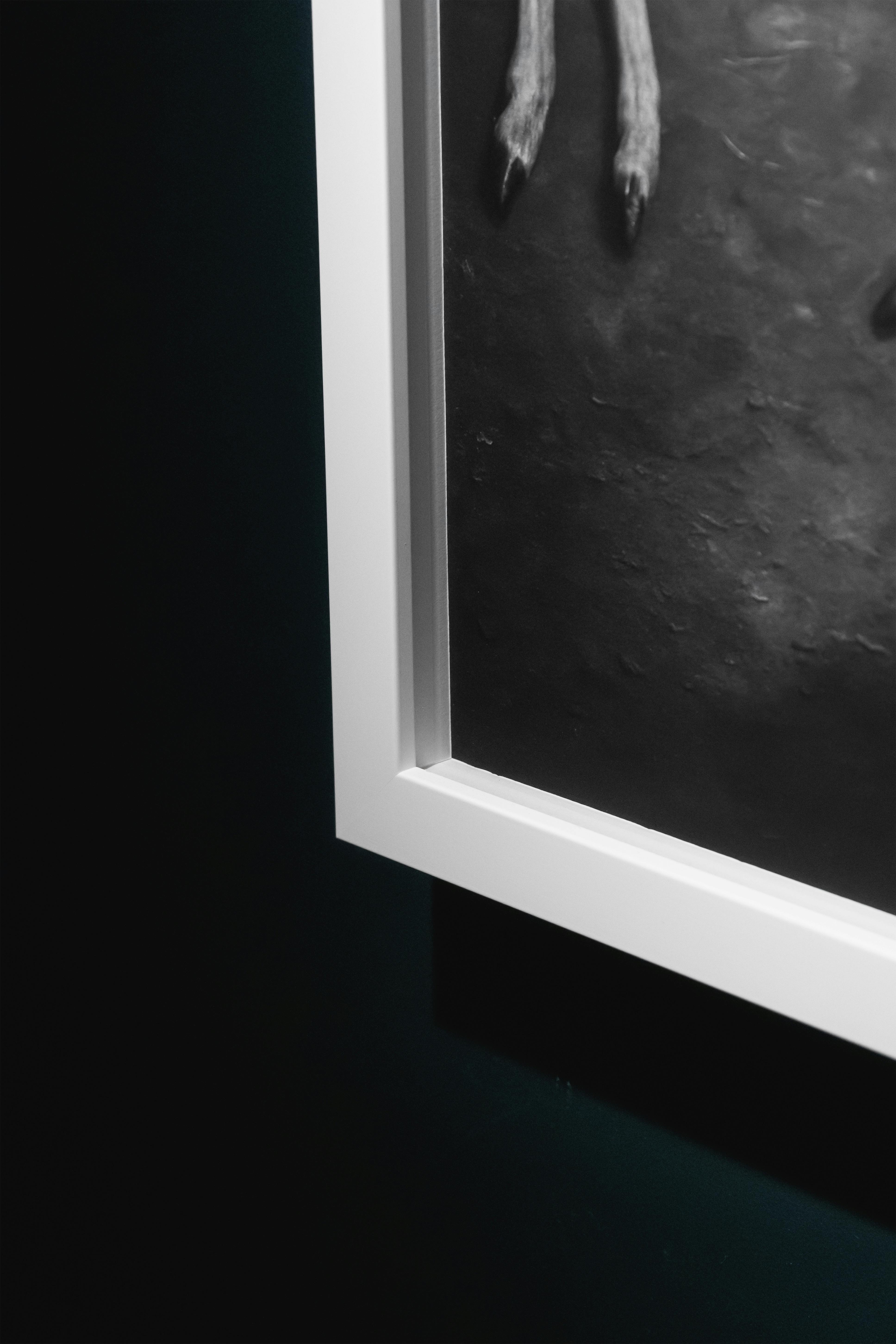 TUHEADS 痕跡は残るが主体は不在 1