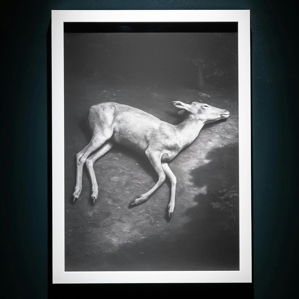 TUHEADS 痕跡は残るが主体は不在 1