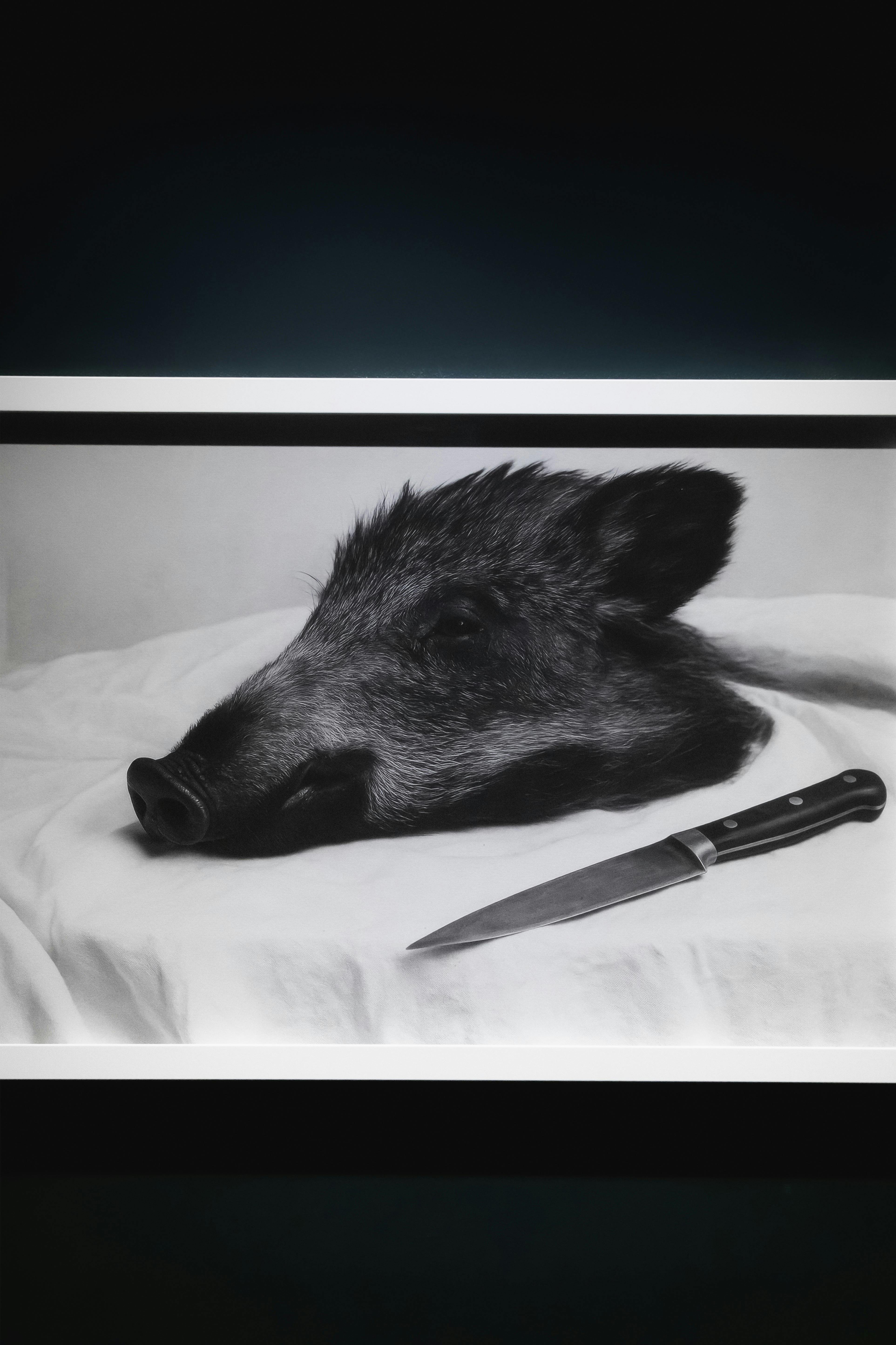 TUHEADS 痕跡は残るが主体は不在 2