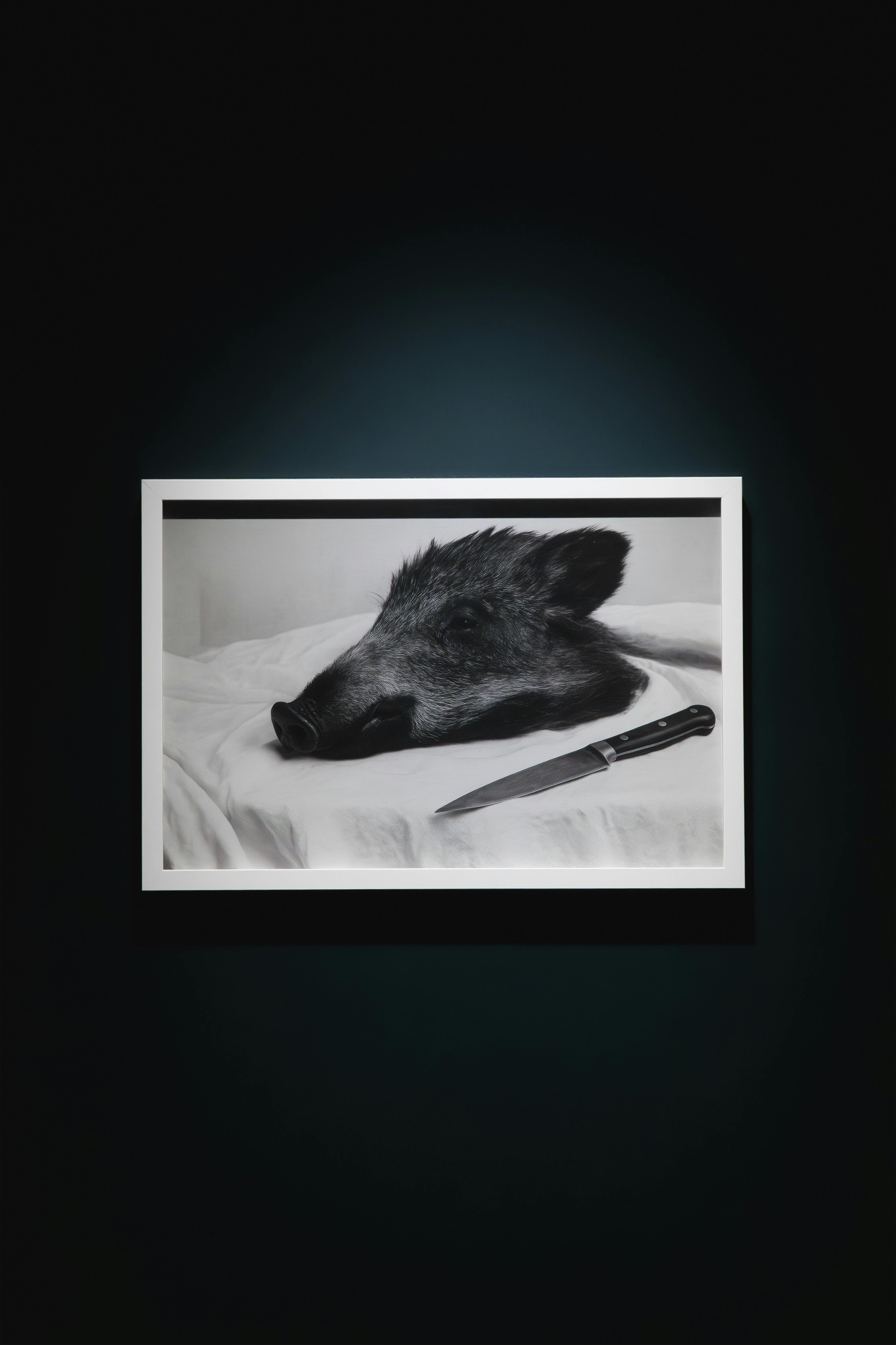 TUHEADS 痕跡は残るが主体は不在 2