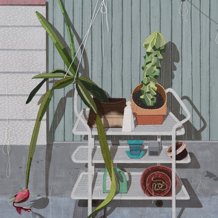 My two best cactuses on grandma's wheelie cart thing...and kid