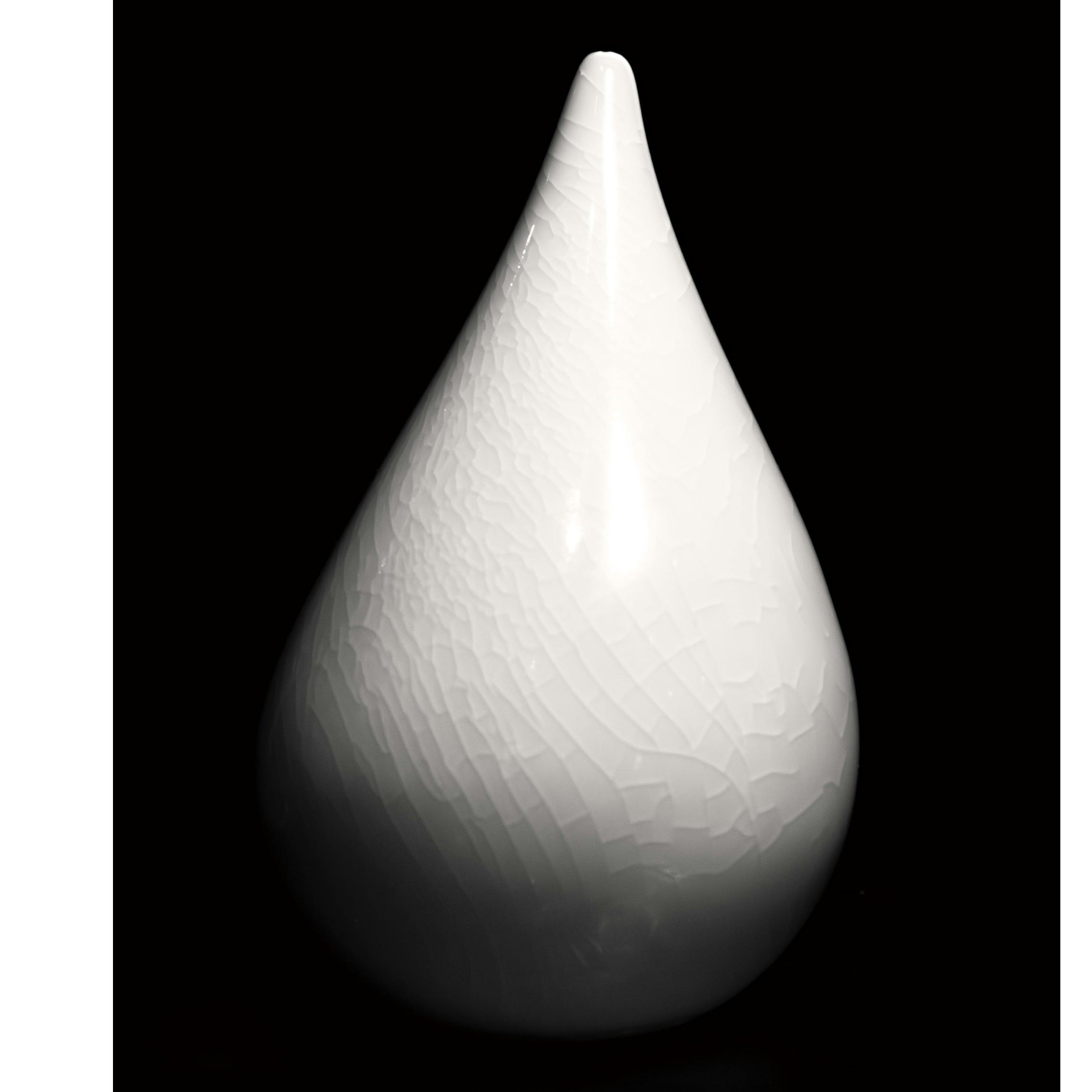 森田 智仁 SKIN Dropout #01