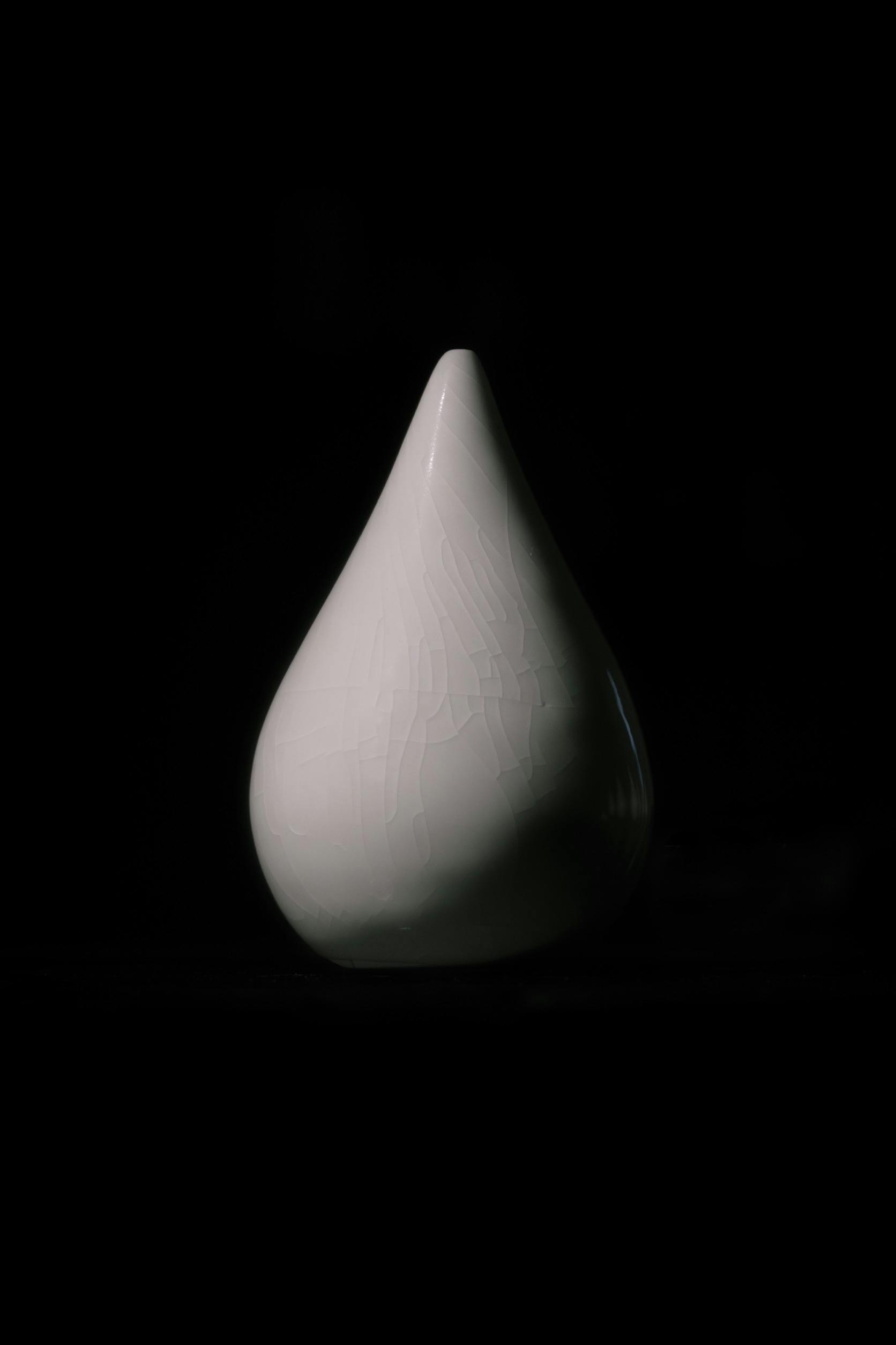 森田 智仁 SKIN Dropout