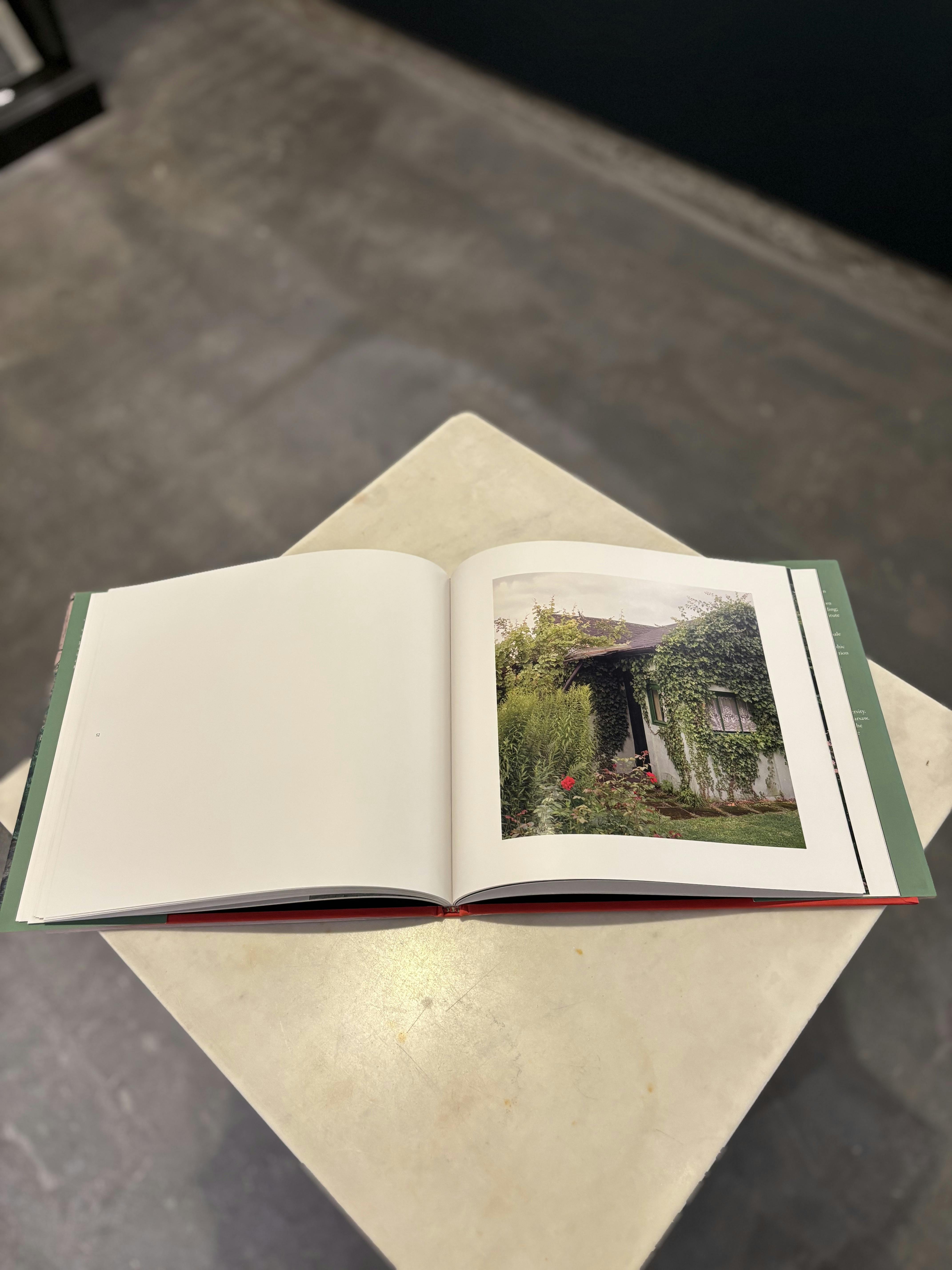 Emily Andersen / Paradise lost & found