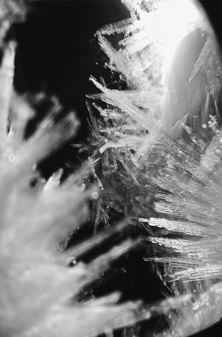 Sara D'uva / Photography Silvery Water and Starry Earth #3