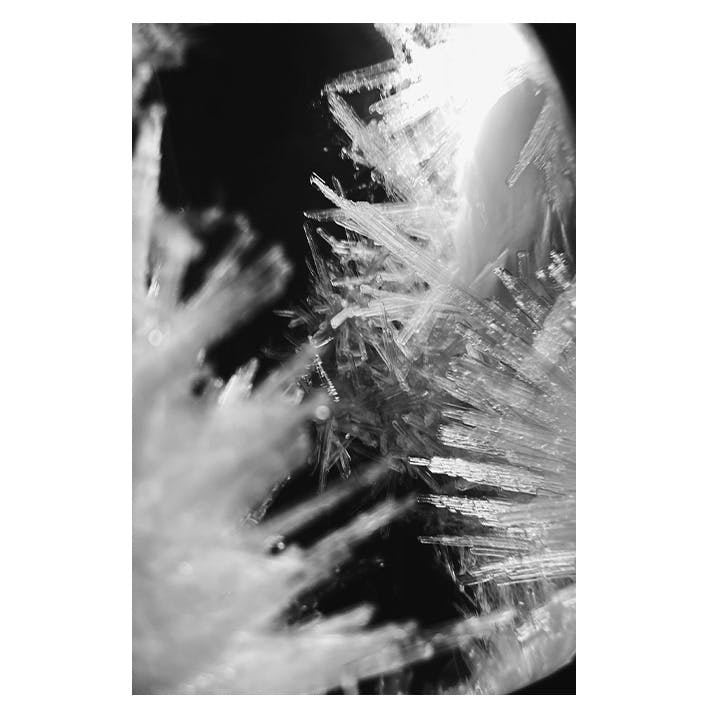 Sara D'uva / Photography Silvery Water and Starry Earth #3