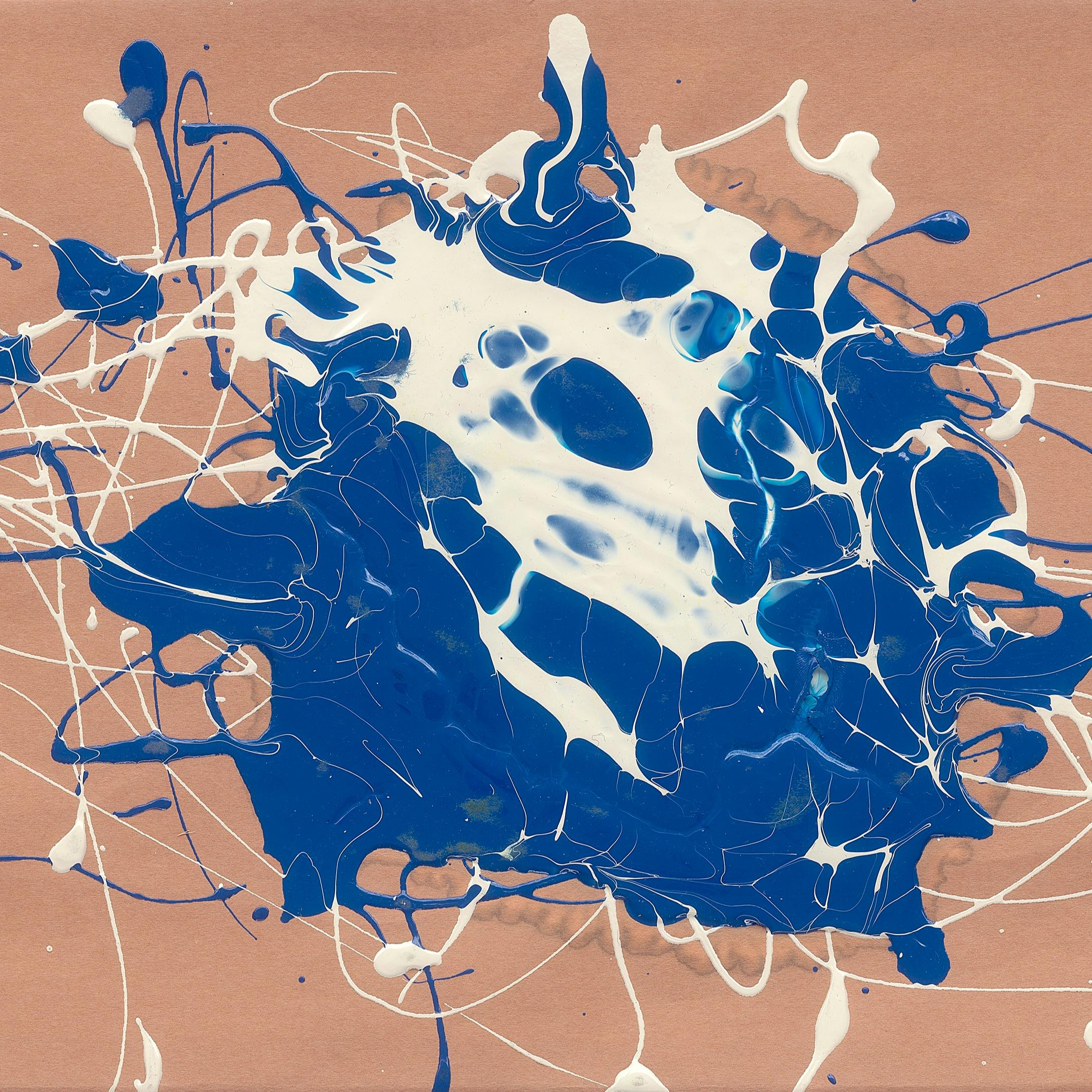 スーパービューおどりこ