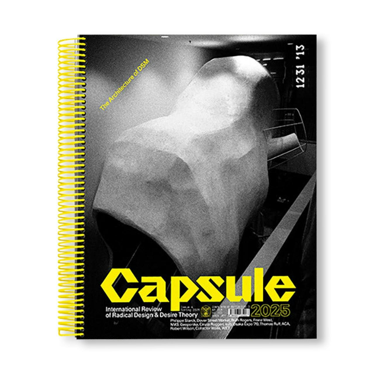 CAPSULE ISSUE 4 – THE ARCHITECTURE OF DSM
