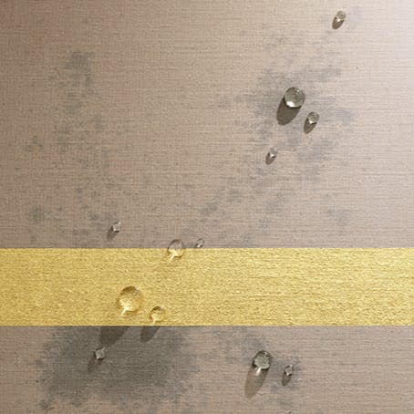 Formation-Recollection_belief 1-13