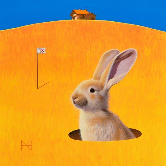 Rabbit into the Hole