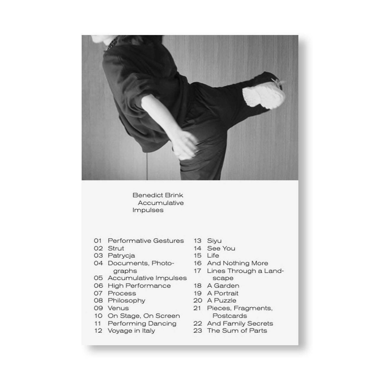 A CONGREGATION OF CLOUDS - N° 3 ACCUMULATIVE IMPULSES by Benedict Brink [INDIVIDUAL ZINES]