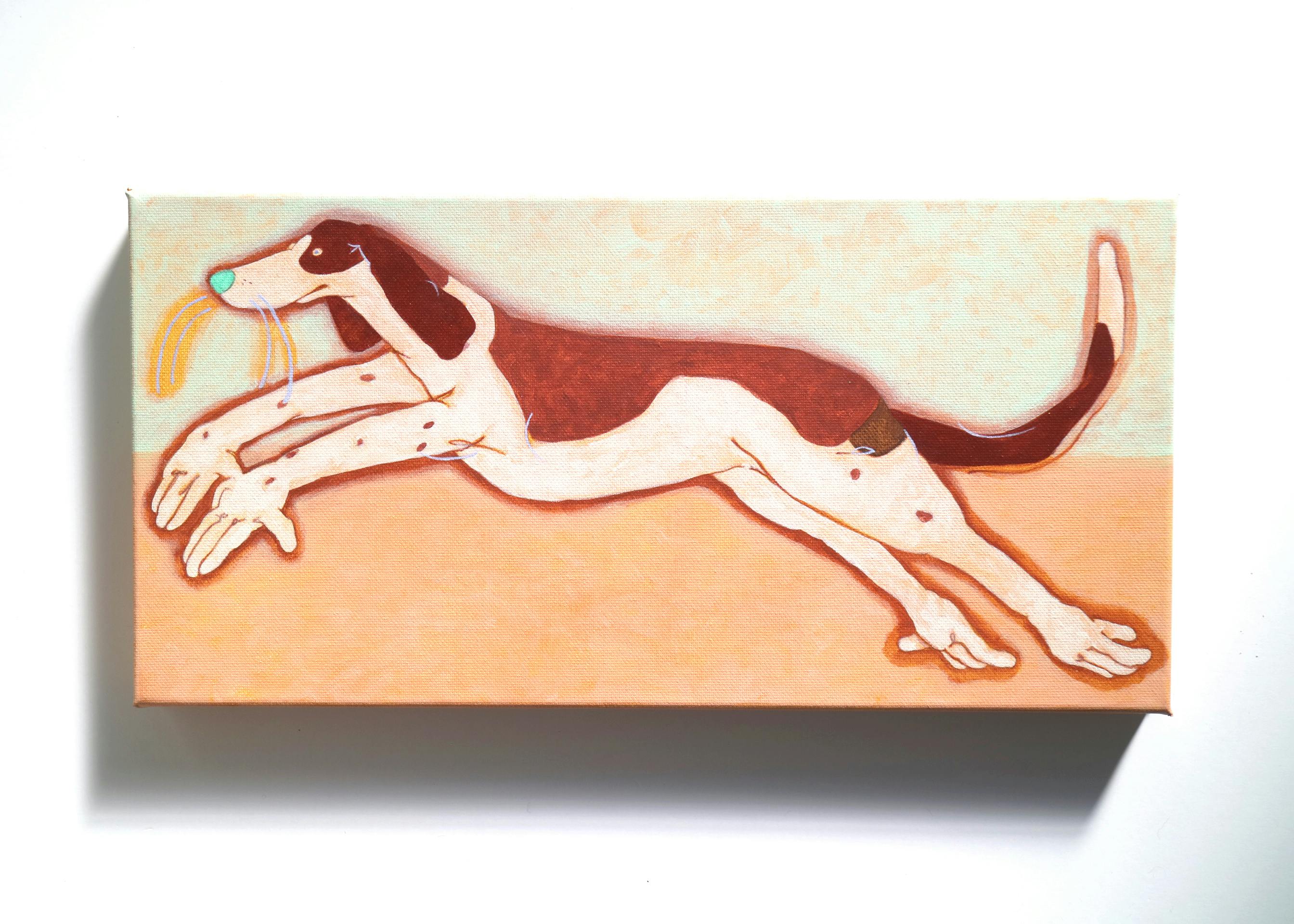 Hound dogs – Cooper