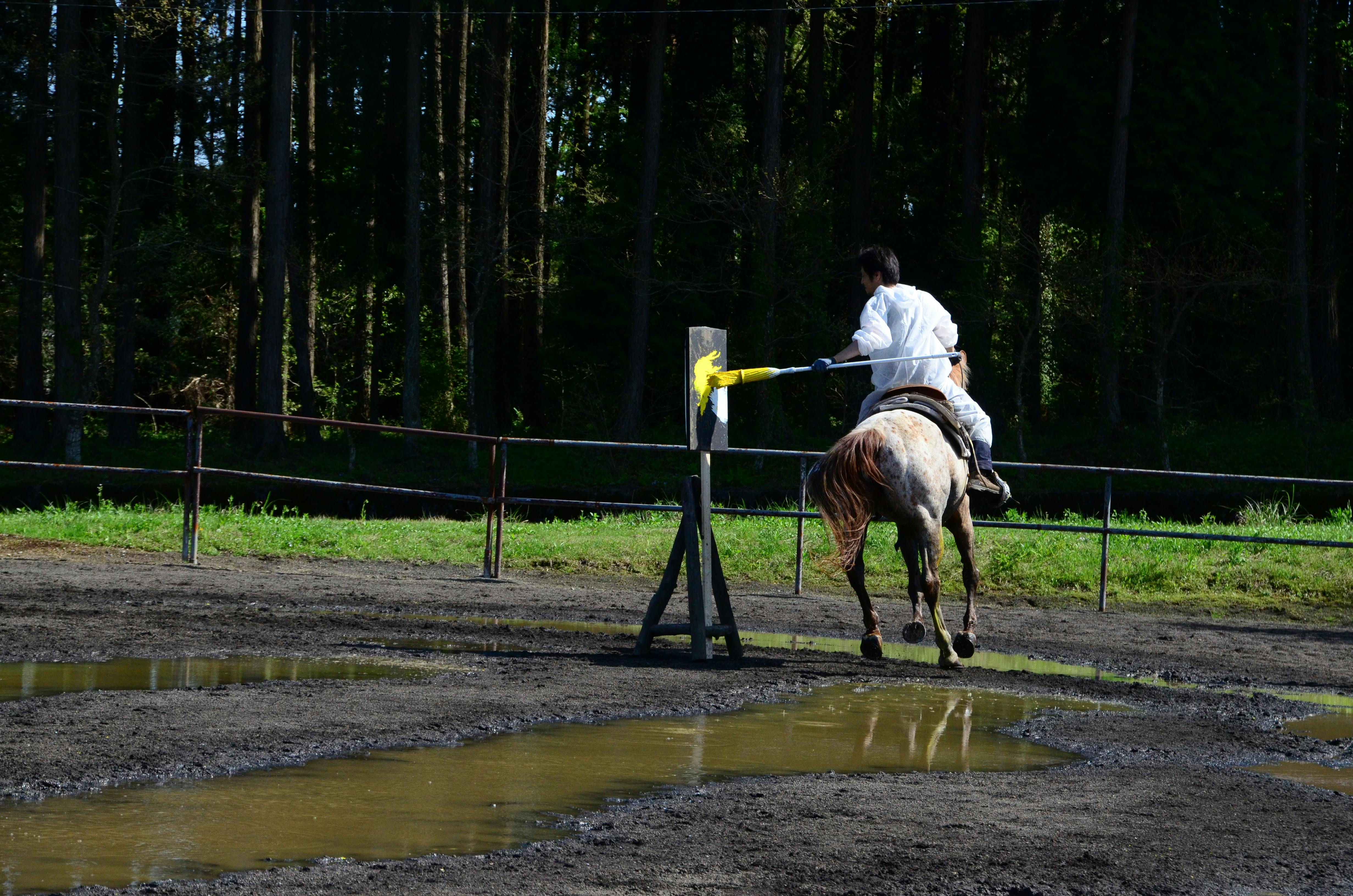 UMACTION2012 Yellow 002