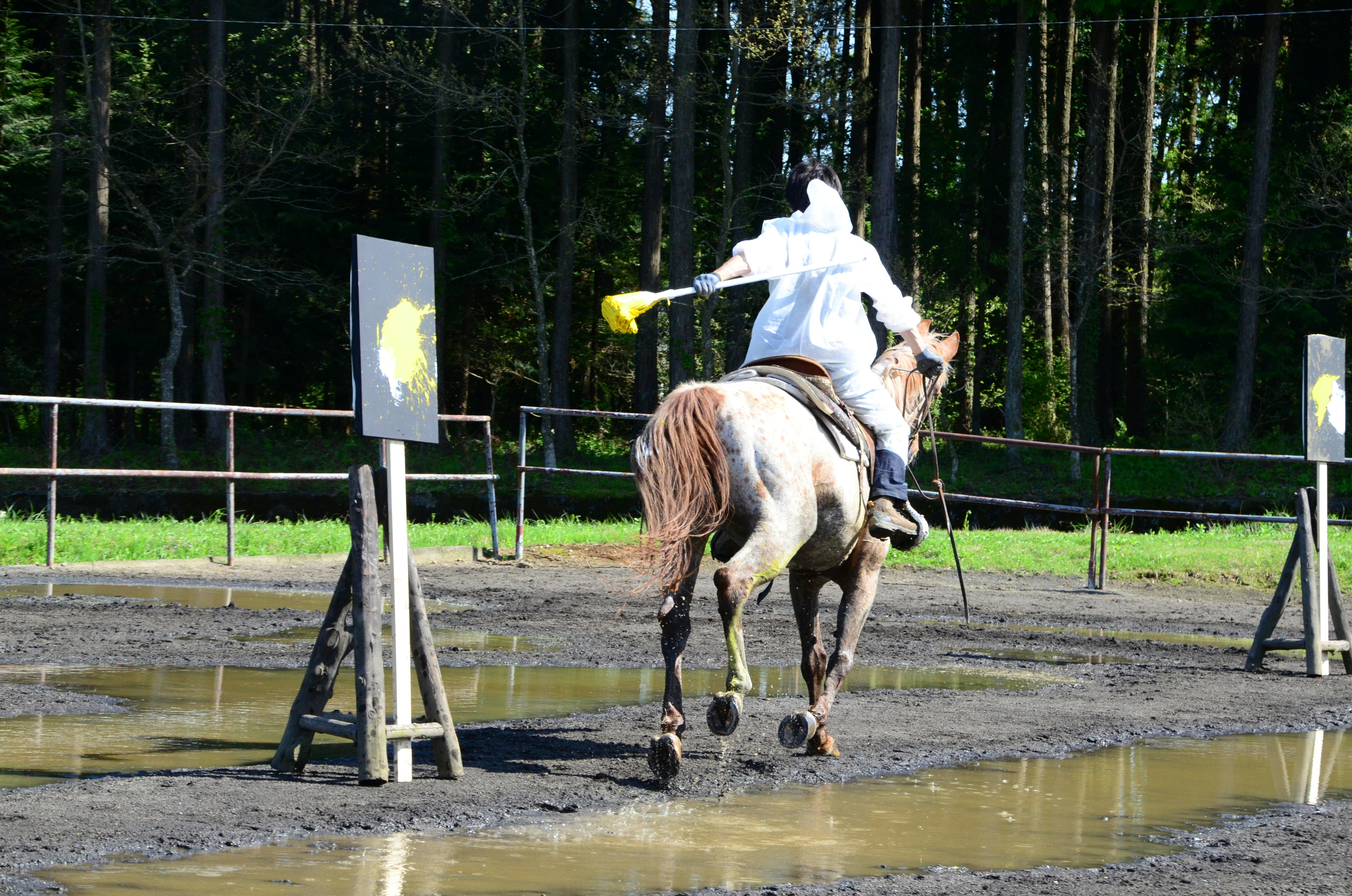 UMACTION2012 Yellow 003