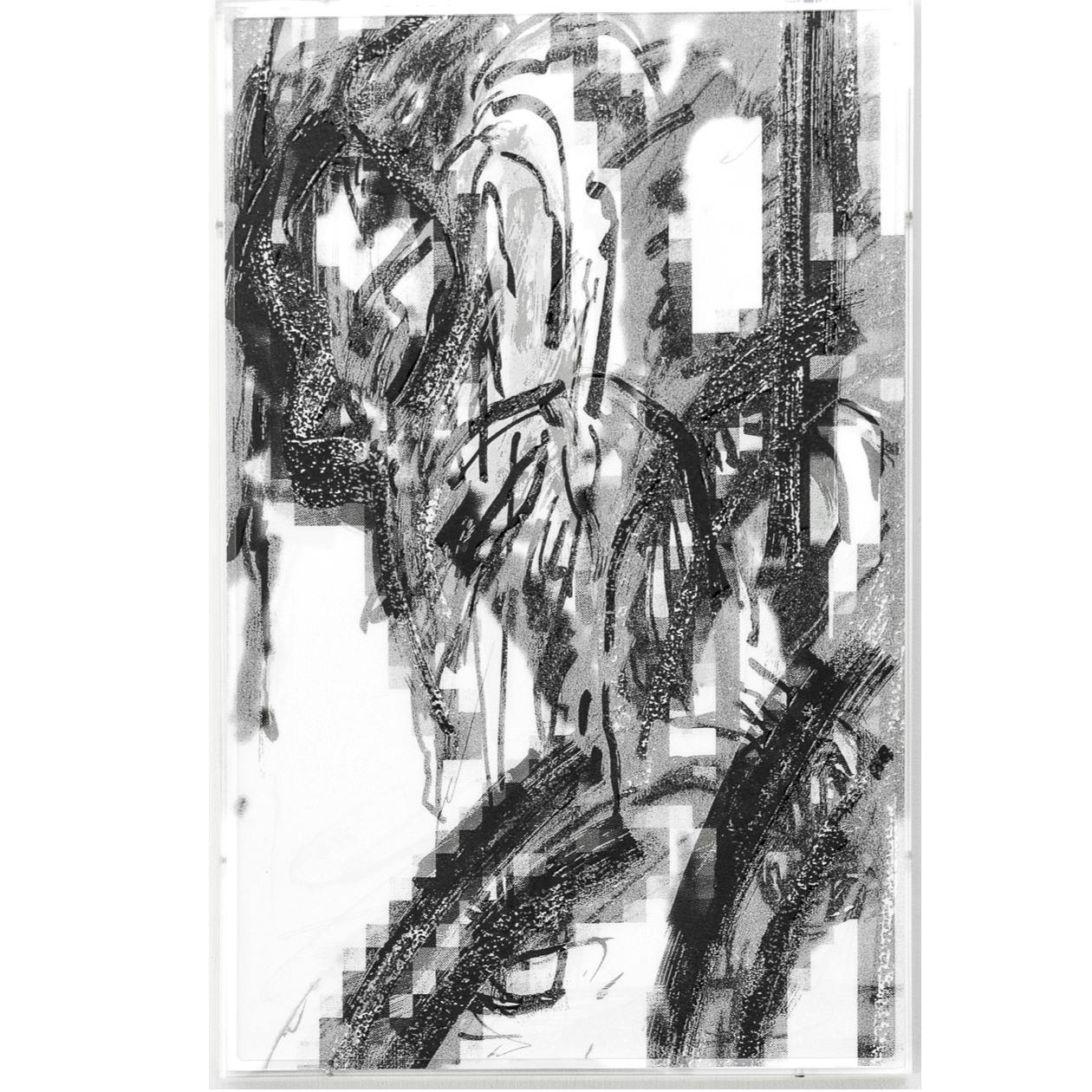 ドラセナの盆栽 Dracaena Bonsai