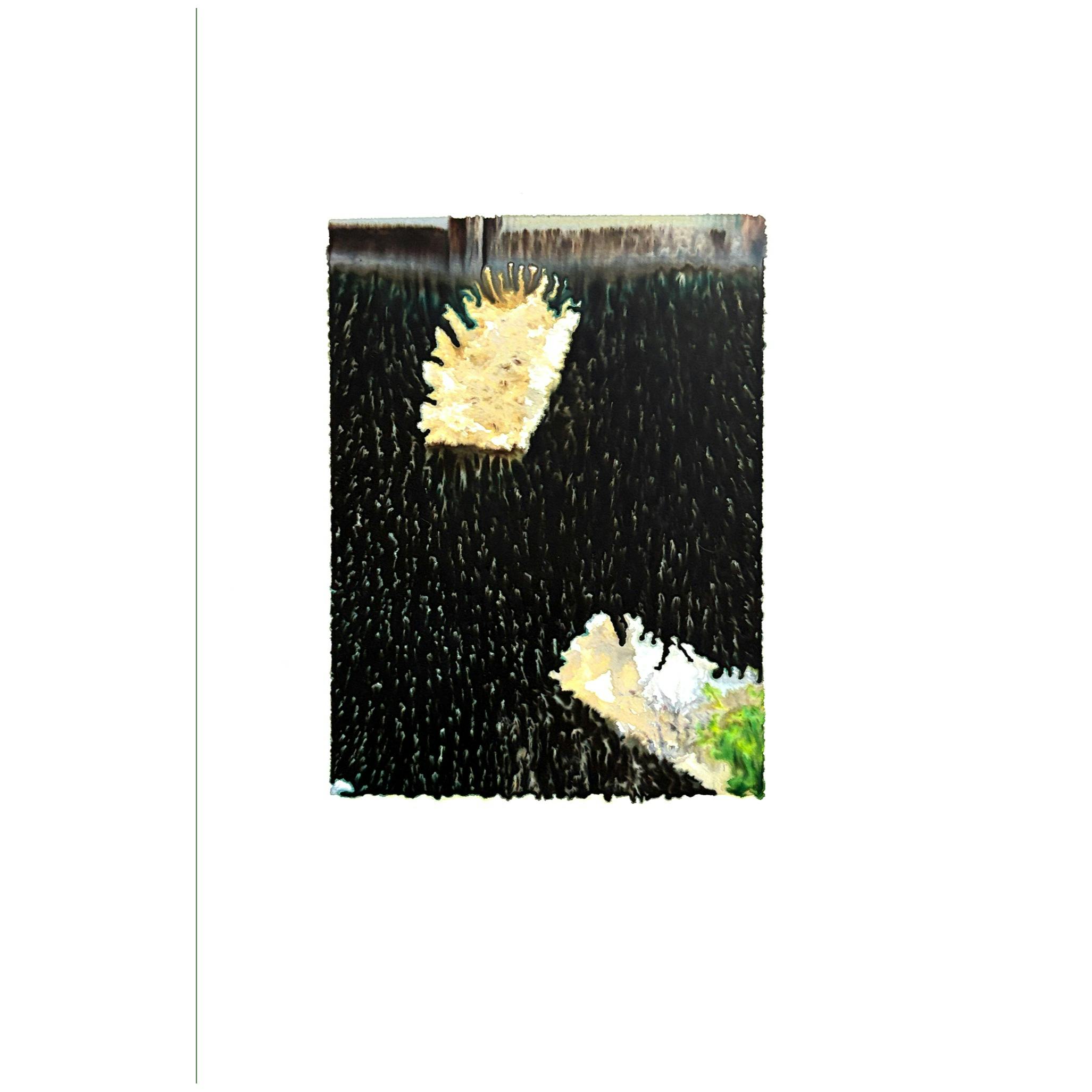 CMYKの分解; アーカイブ CMYK Decomposition; Archive