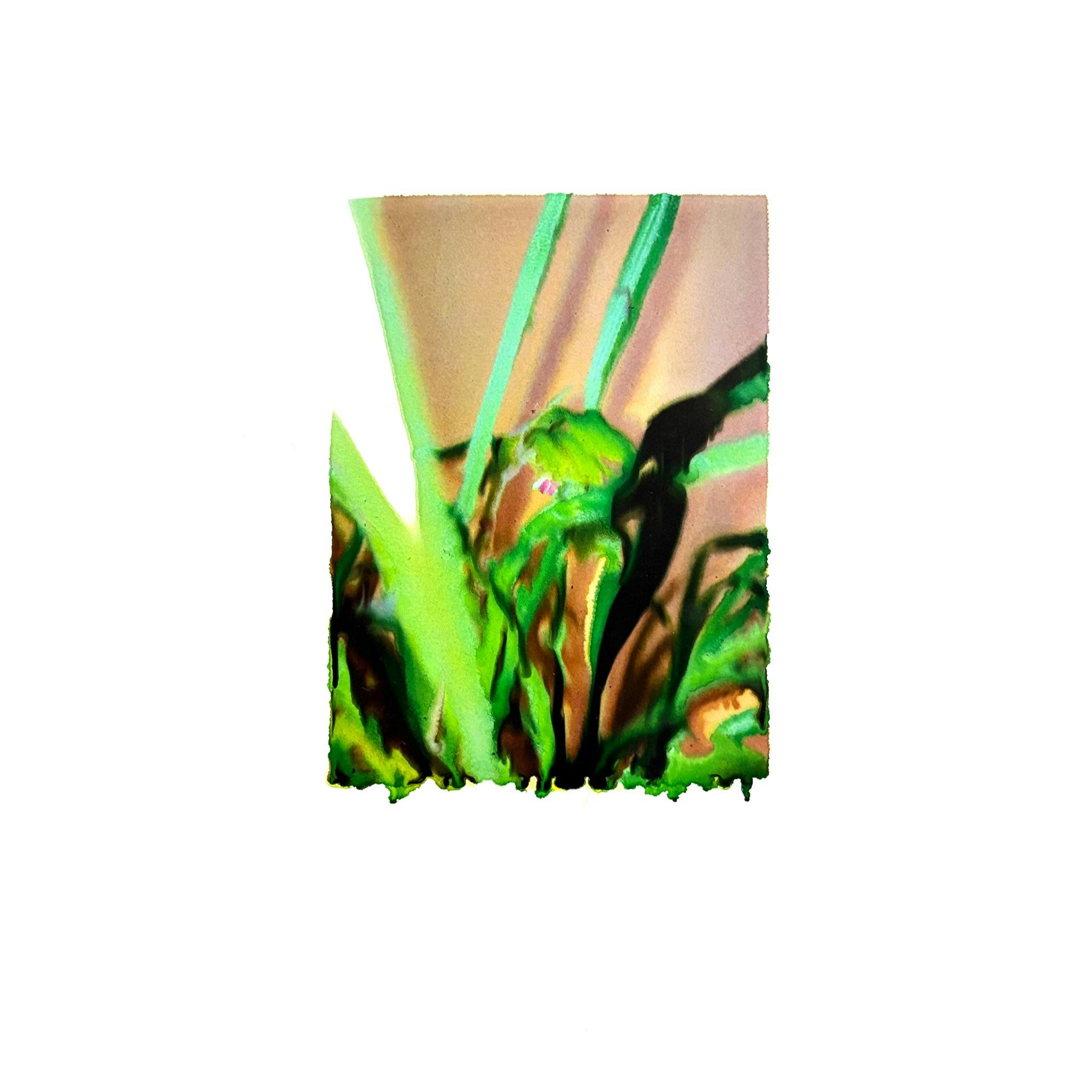 CMYKの分解; アーカイブ CMYK Decomposition; Archive