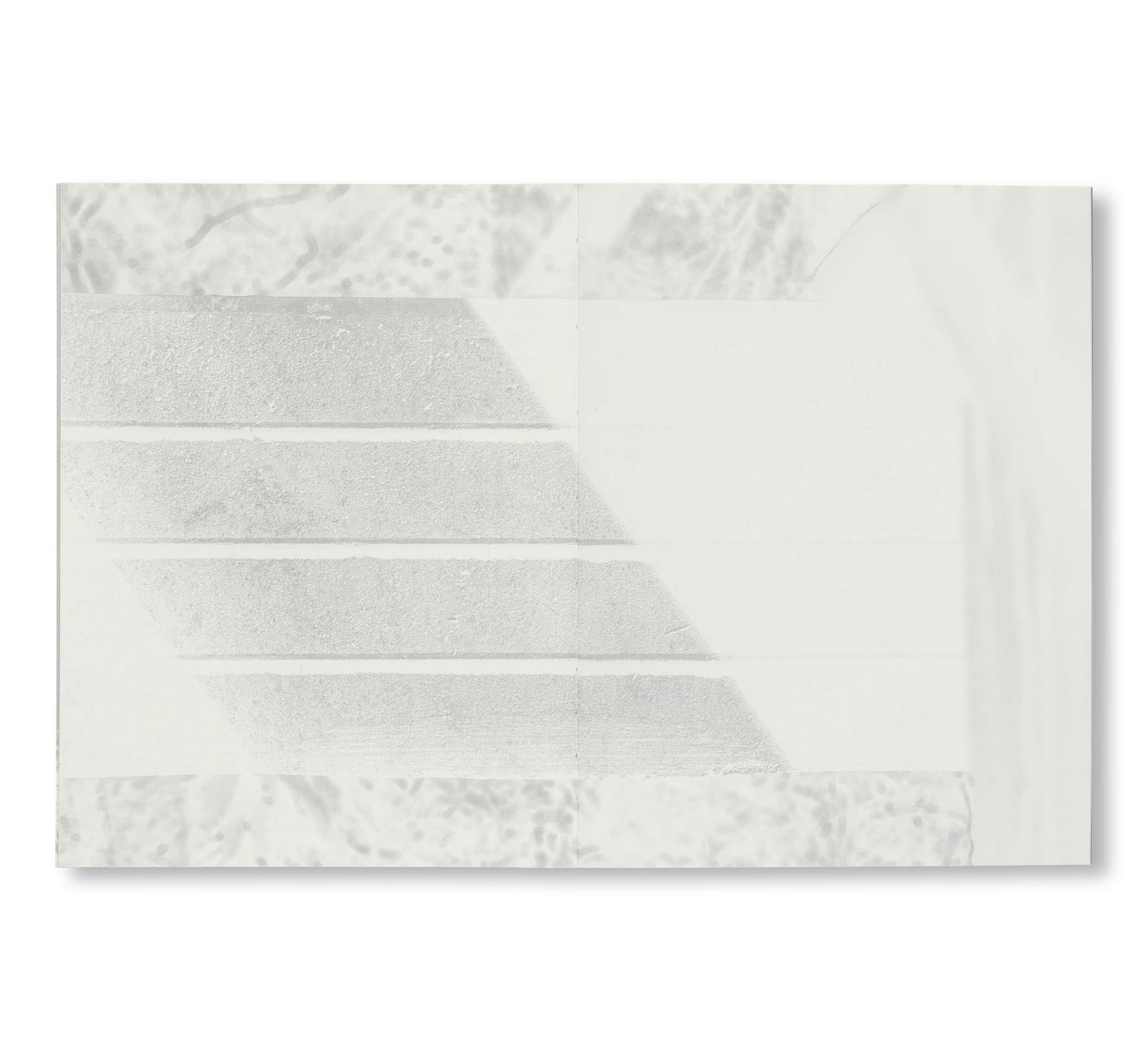 DETAILS AND AESTHETICS: UNKNOWN BRUTALISM ARCHITECTURE IN HONG KONG