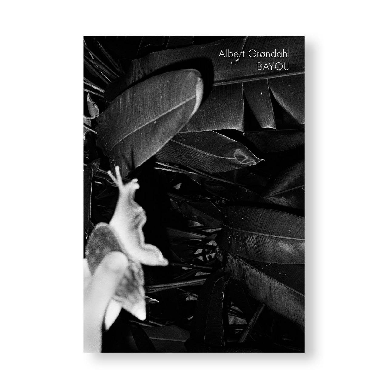 BAYOU by Albert Grøndahl