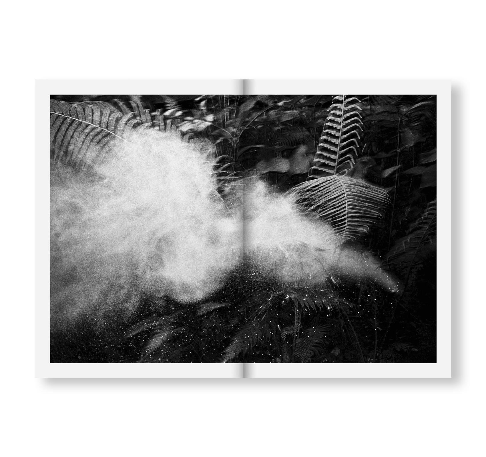 BAYOU by Albert Grøndahl