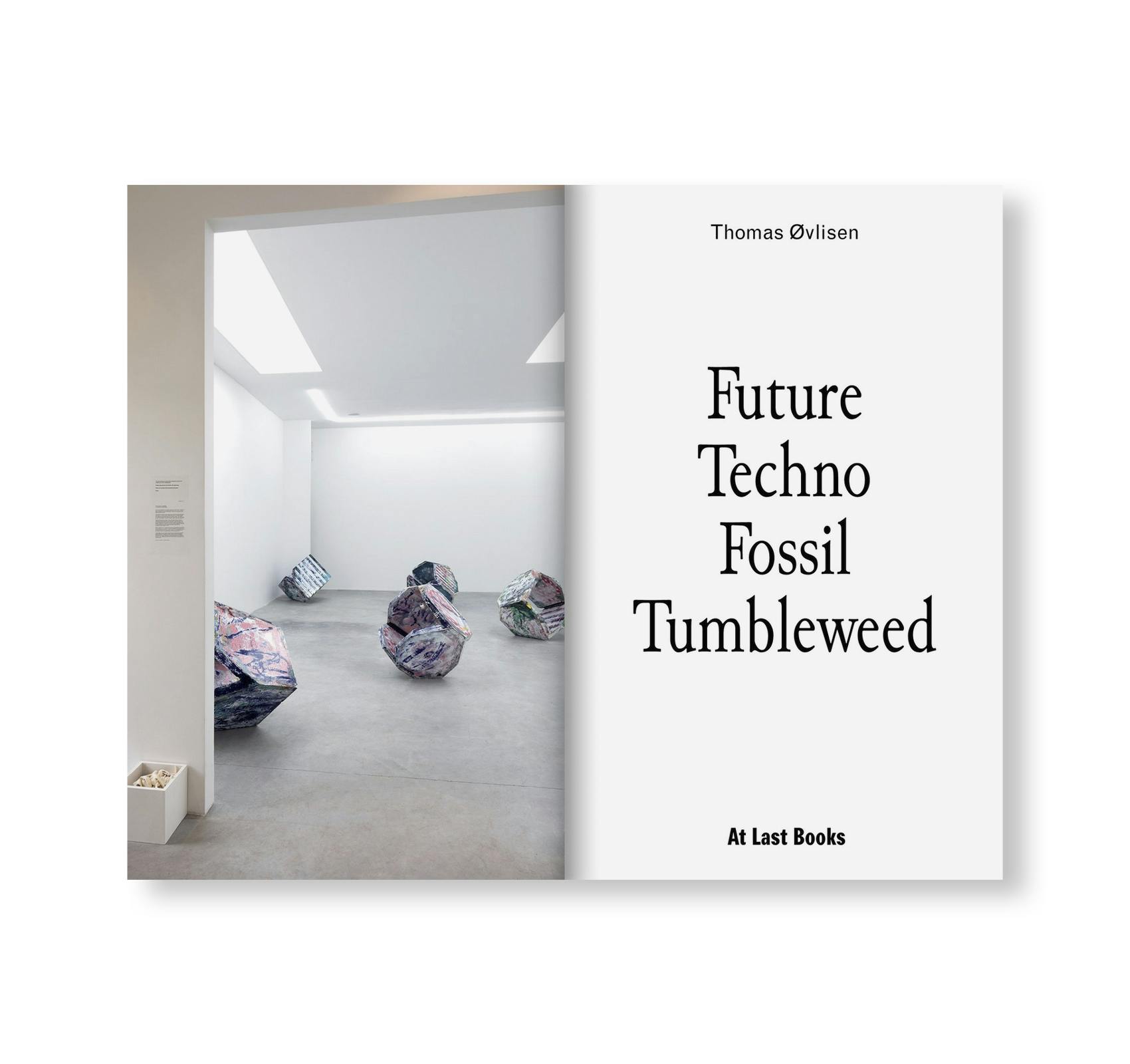 FUTURE TECHNO FOSSIL TUMBLEWEED