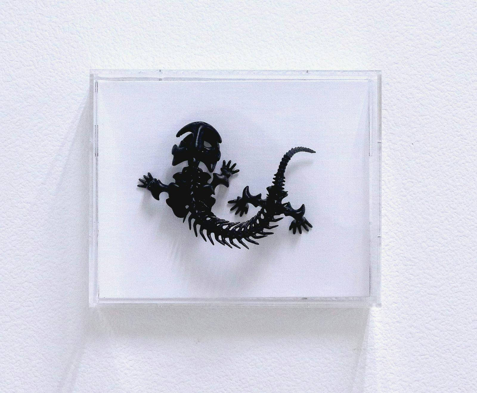 擬態化（山椒魚）