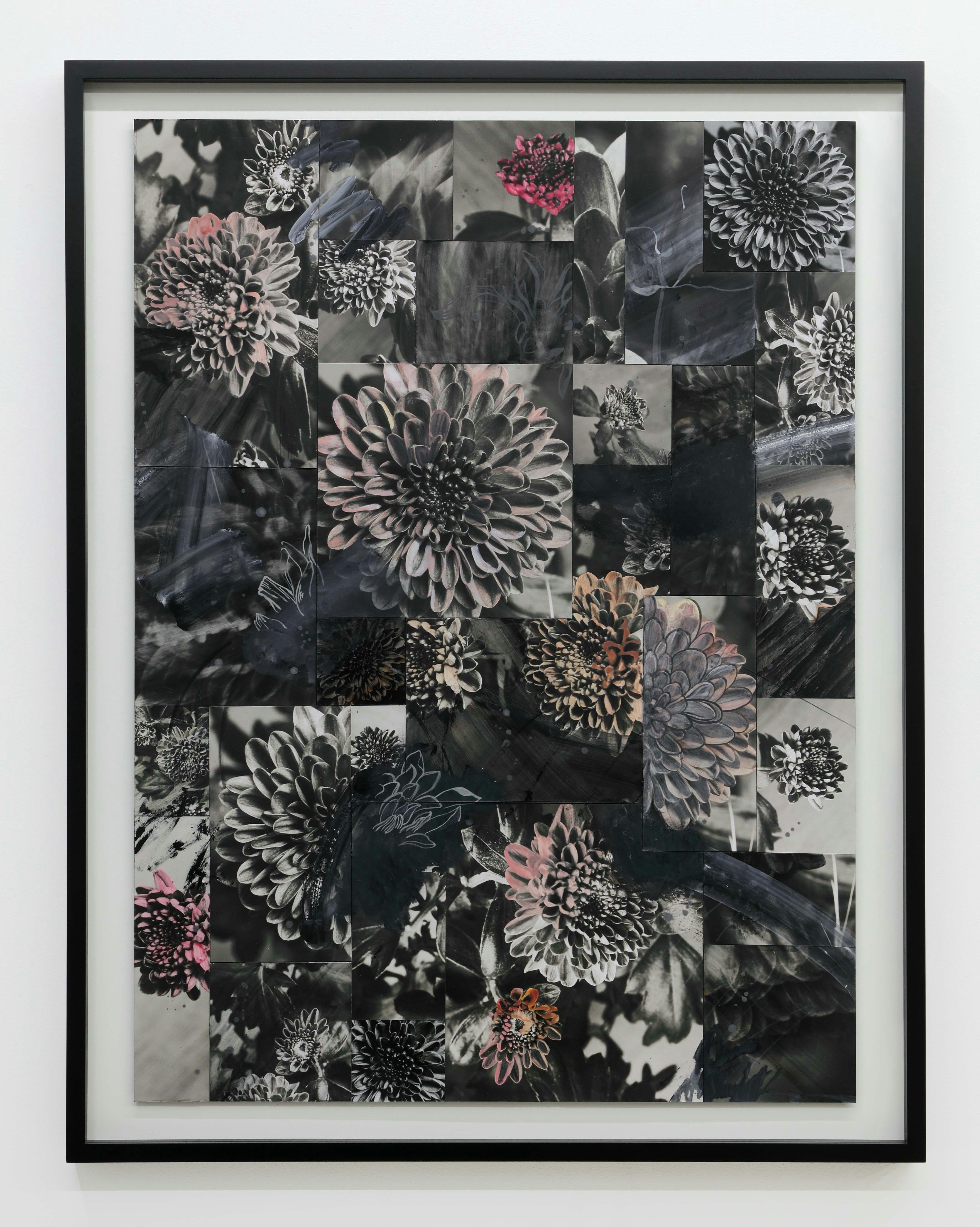 An Approach to a Flower ph+d-241025_1  (Photo by Nam grafik)