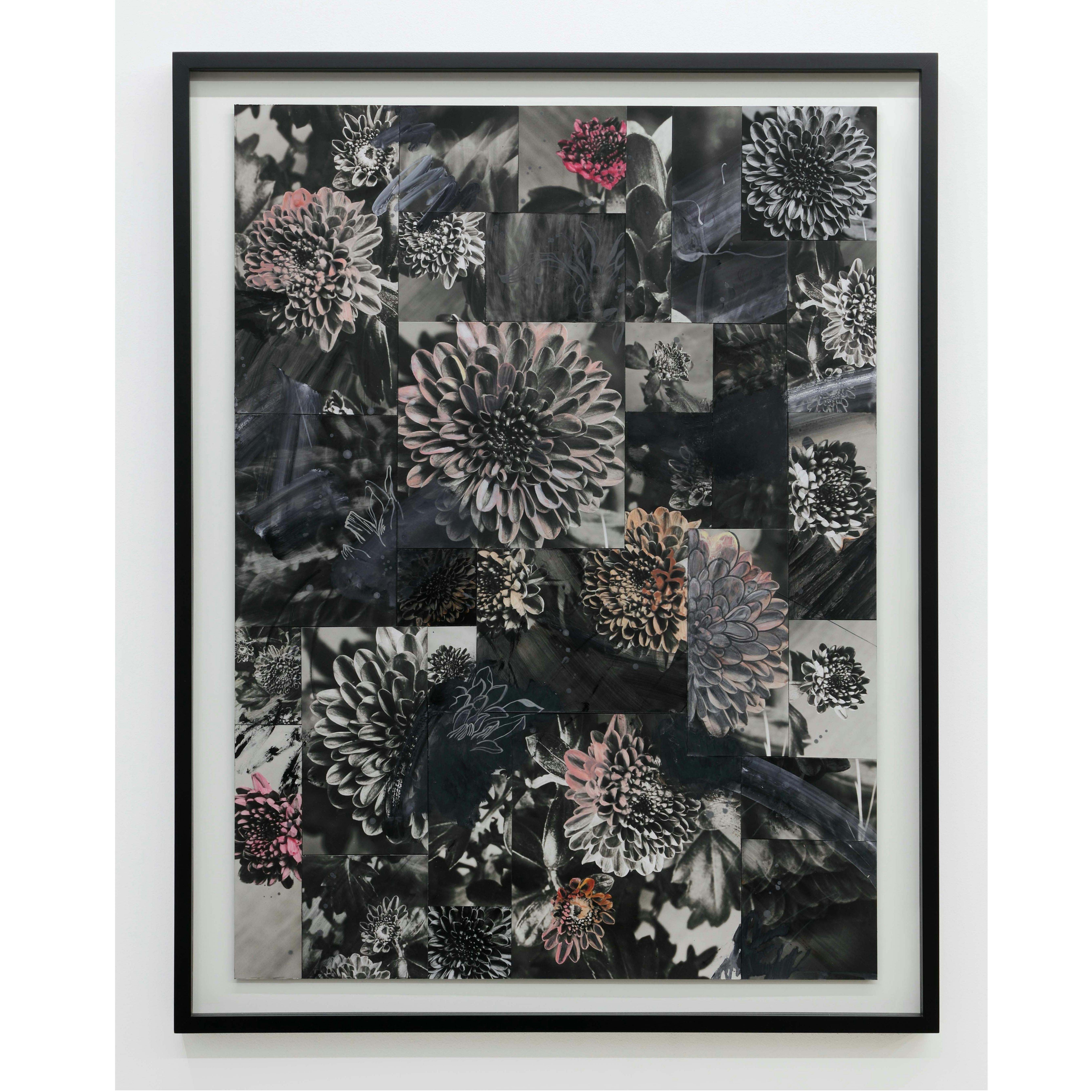 An Approach to a Flower ph+d-241025_1  (Photo by Nam grafik)