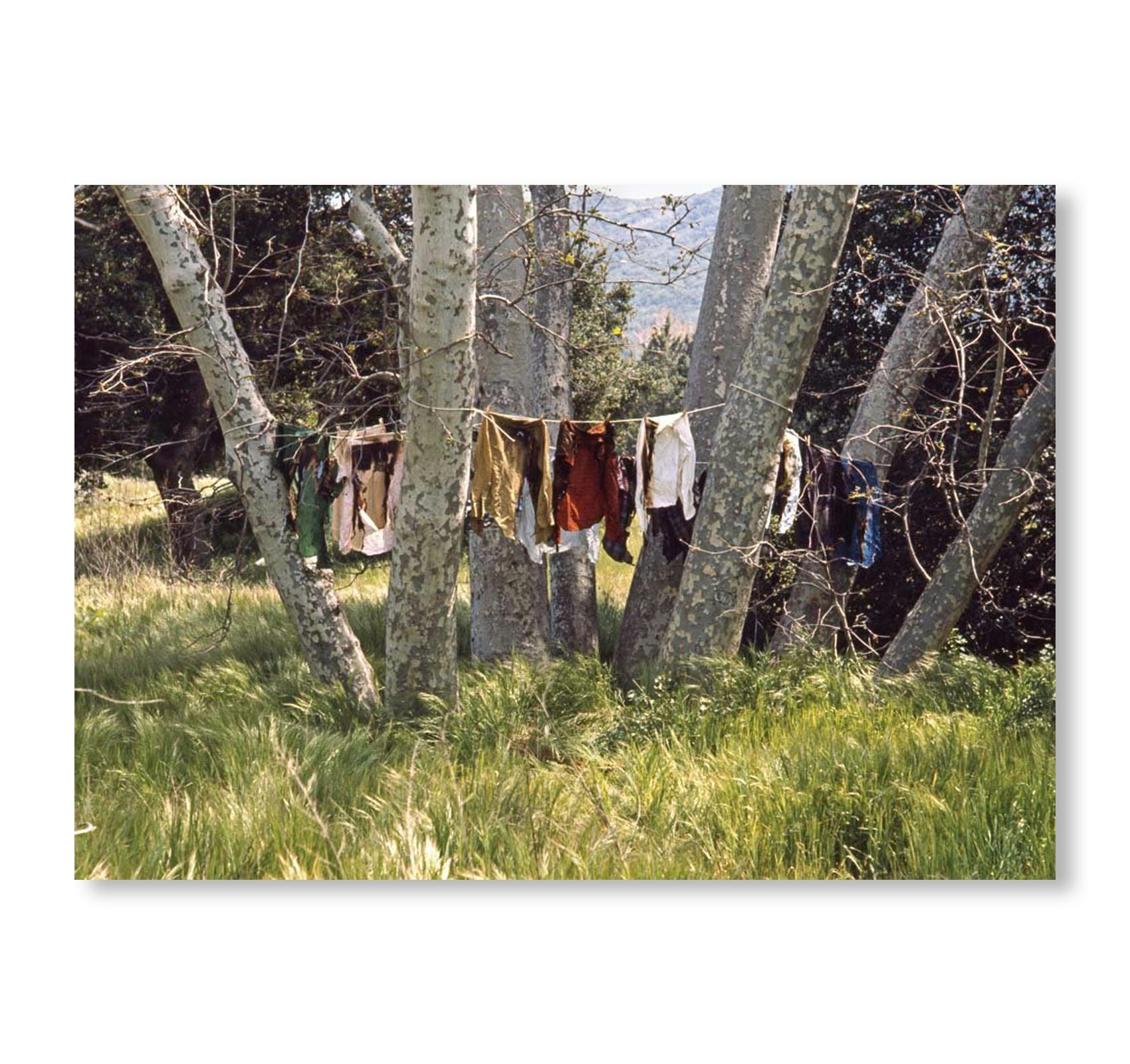 INTELLECTUAL PROPERTY 1968–2018