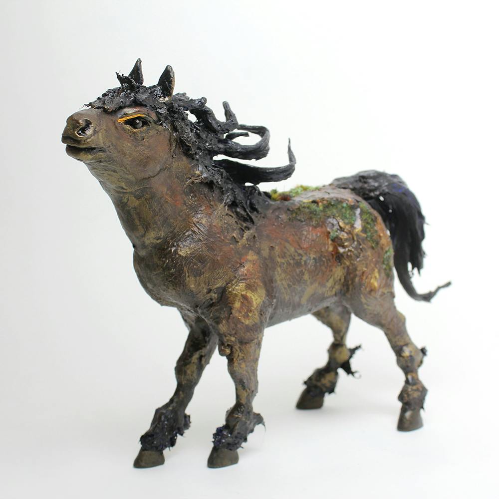 ブラック・ダイヤ・ポニー