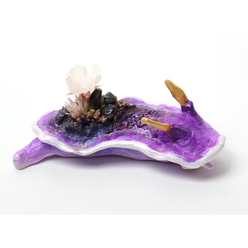 ゆめみるウミウシ