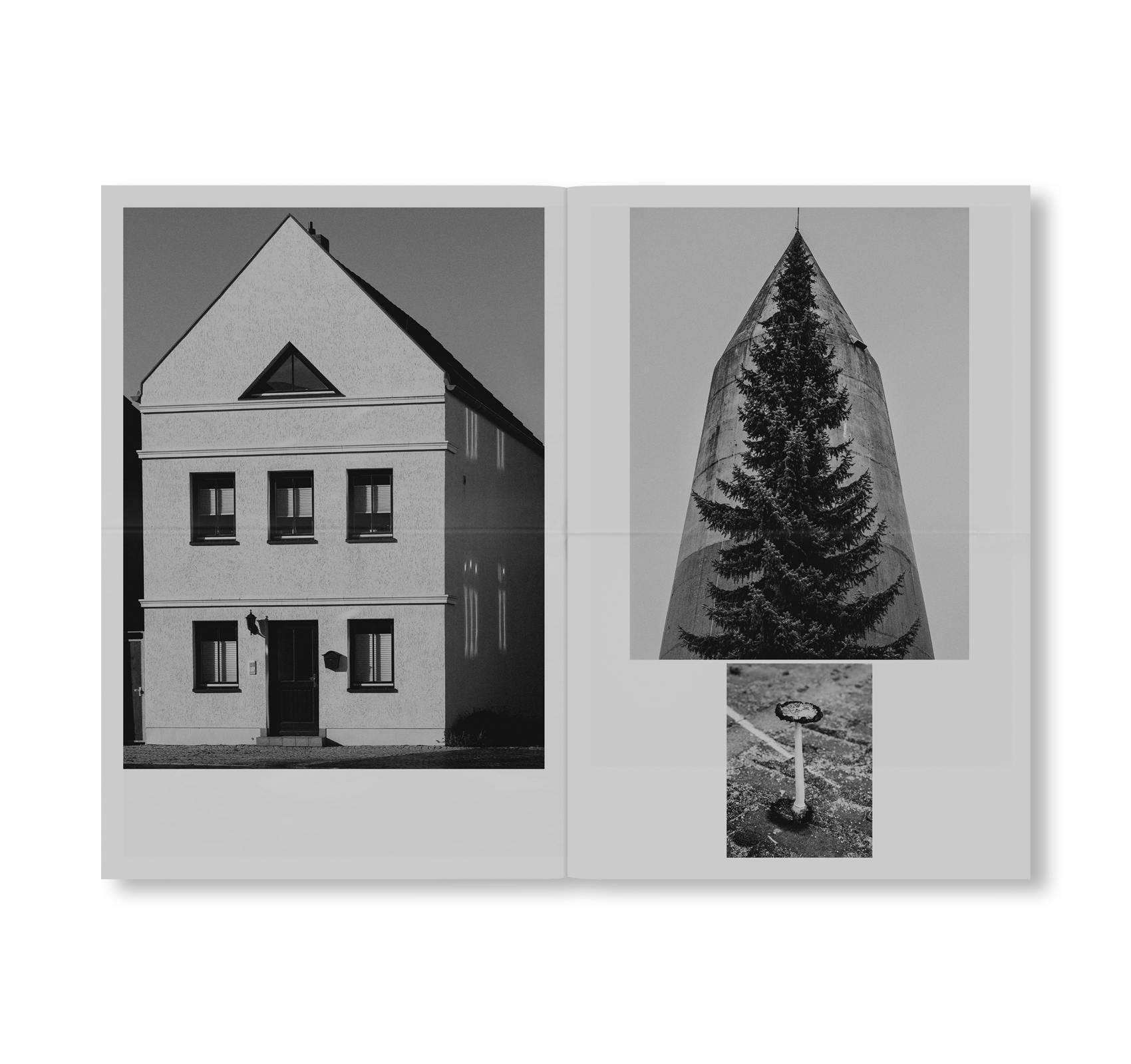 DEPONIE [SIGNED / NUMBERED]