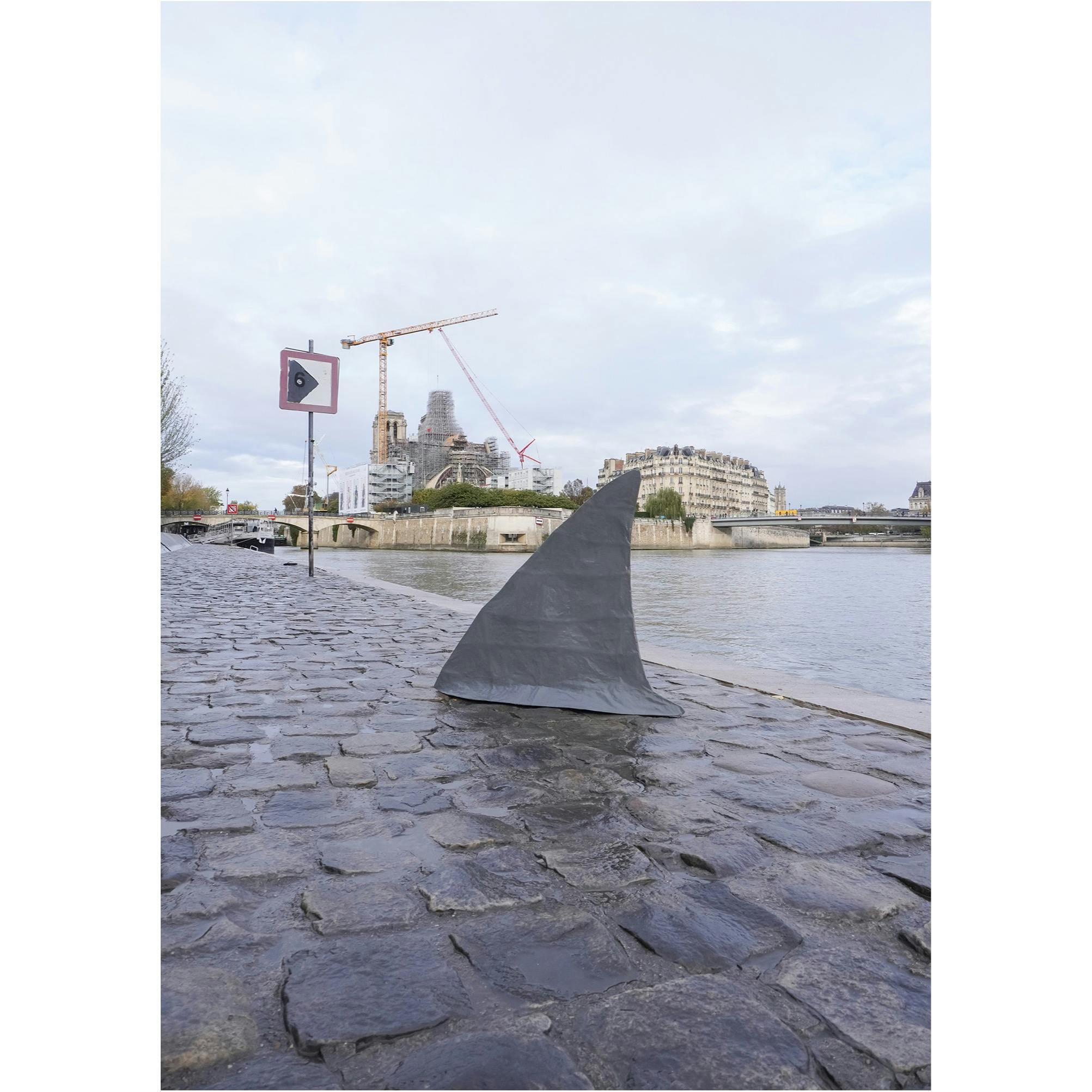 Cathédrale Notre-Dame de Paris