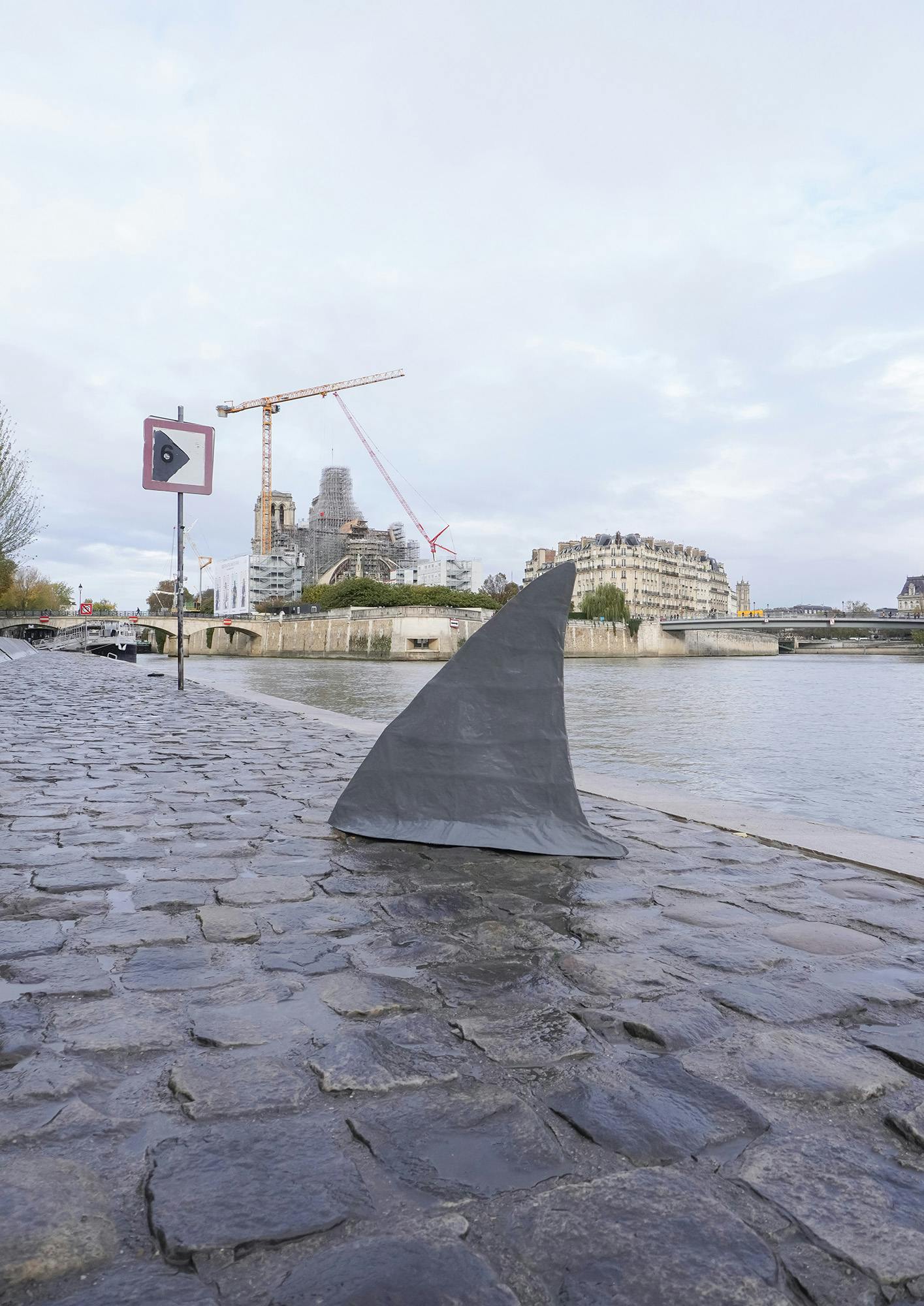 Cathédrale Notre-Dame de Paris