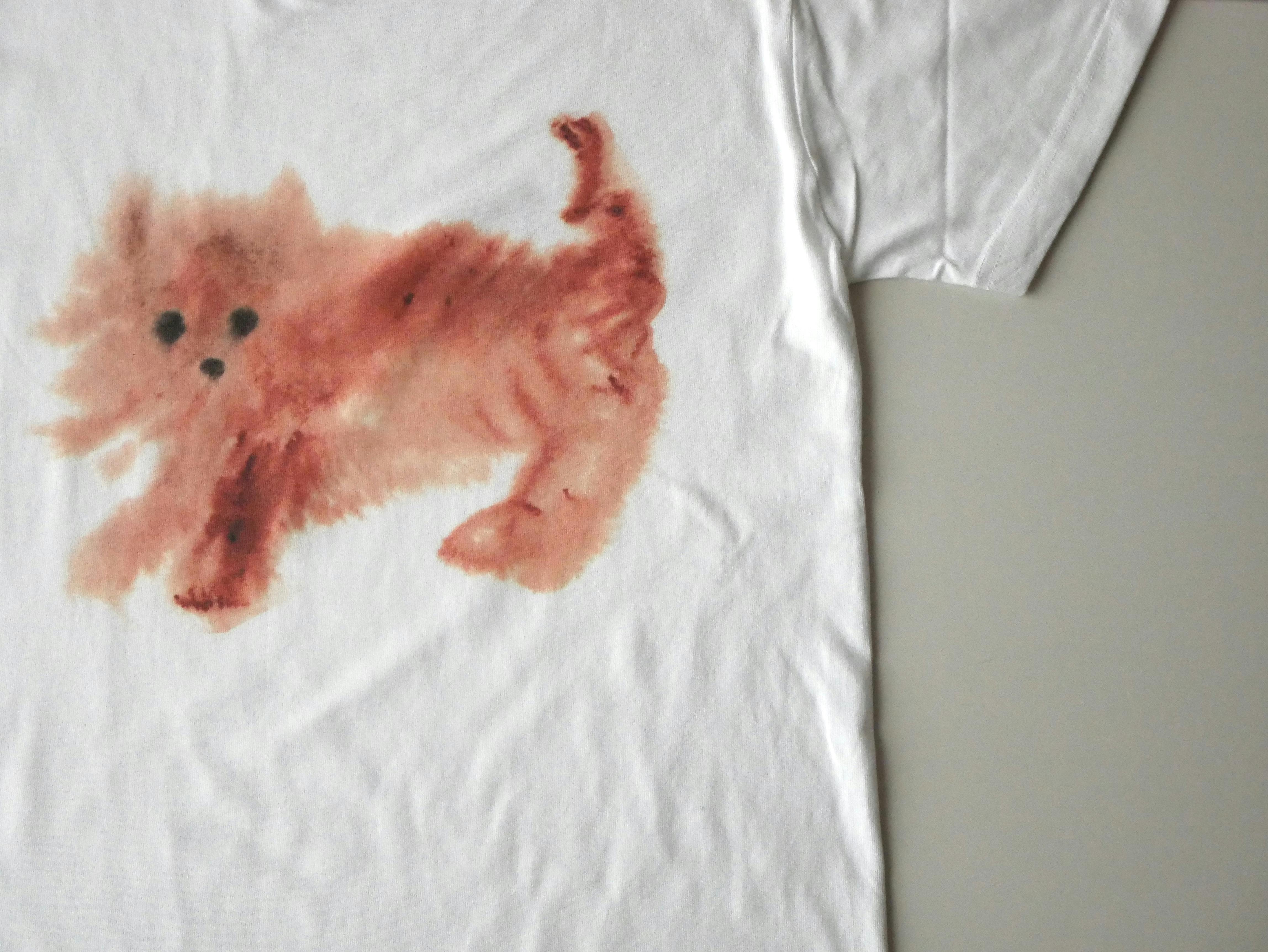 2つのヘアスタイルは同時に存在しないT（ホワイト・S）