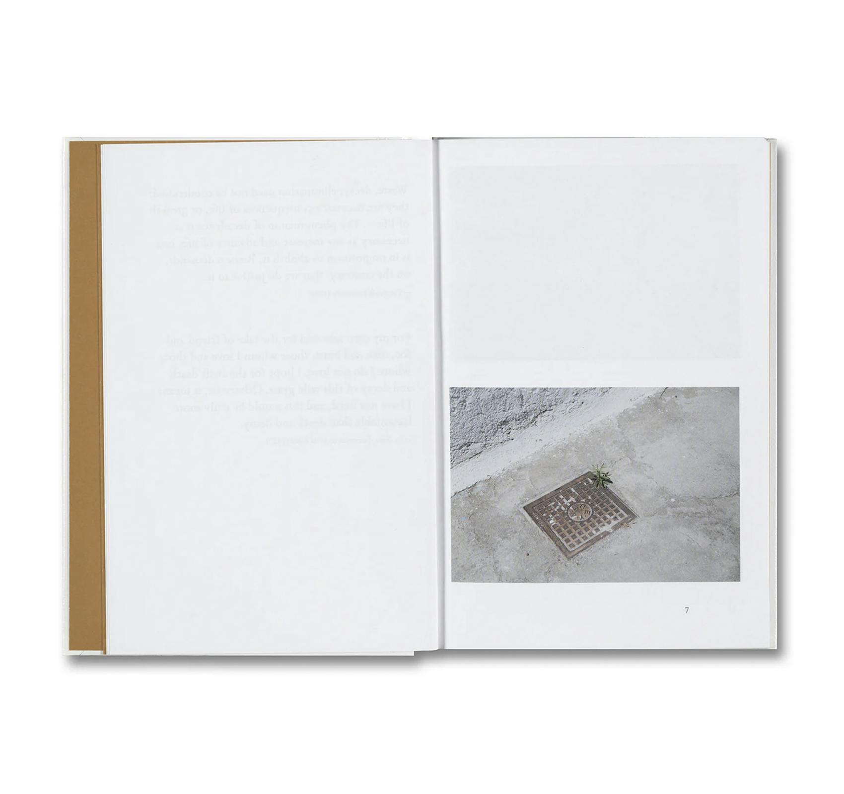 WEEDS: A GERMINATING THEORY